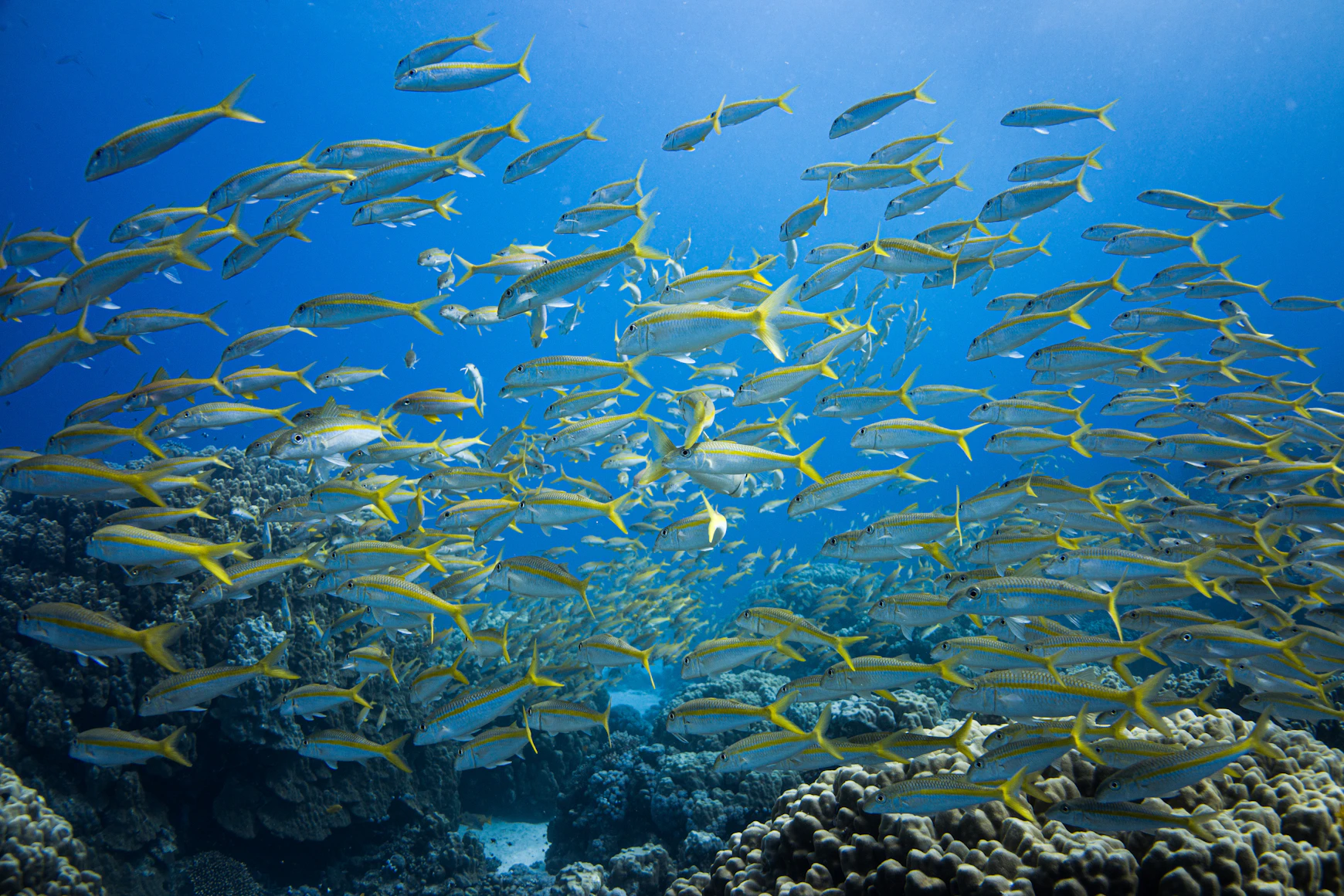 Hurghada