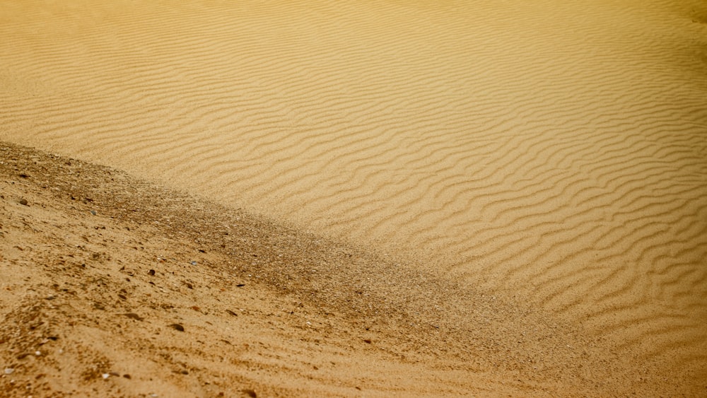a close-up of a sandy area