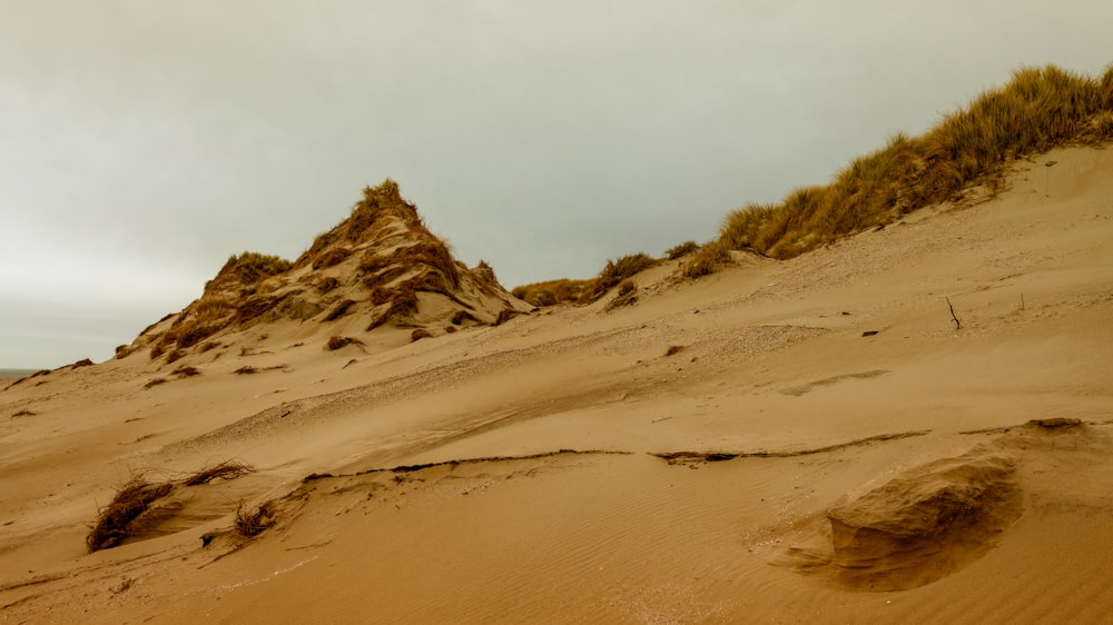 a sandy area with a hill in the background