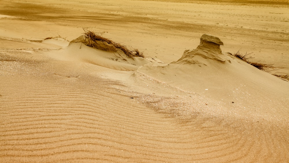 a sandy area with a rock in it