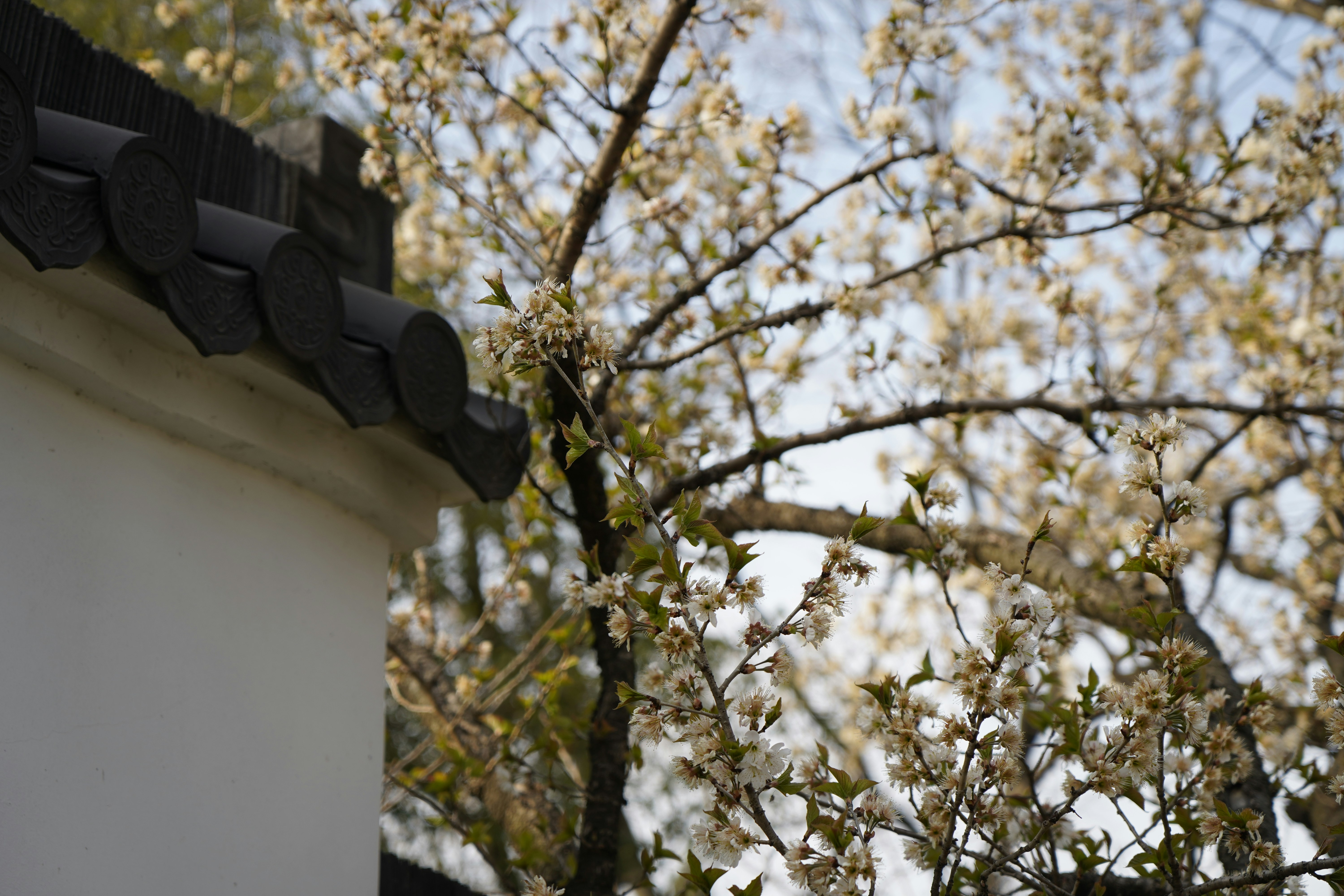 Photo by zhangyuze