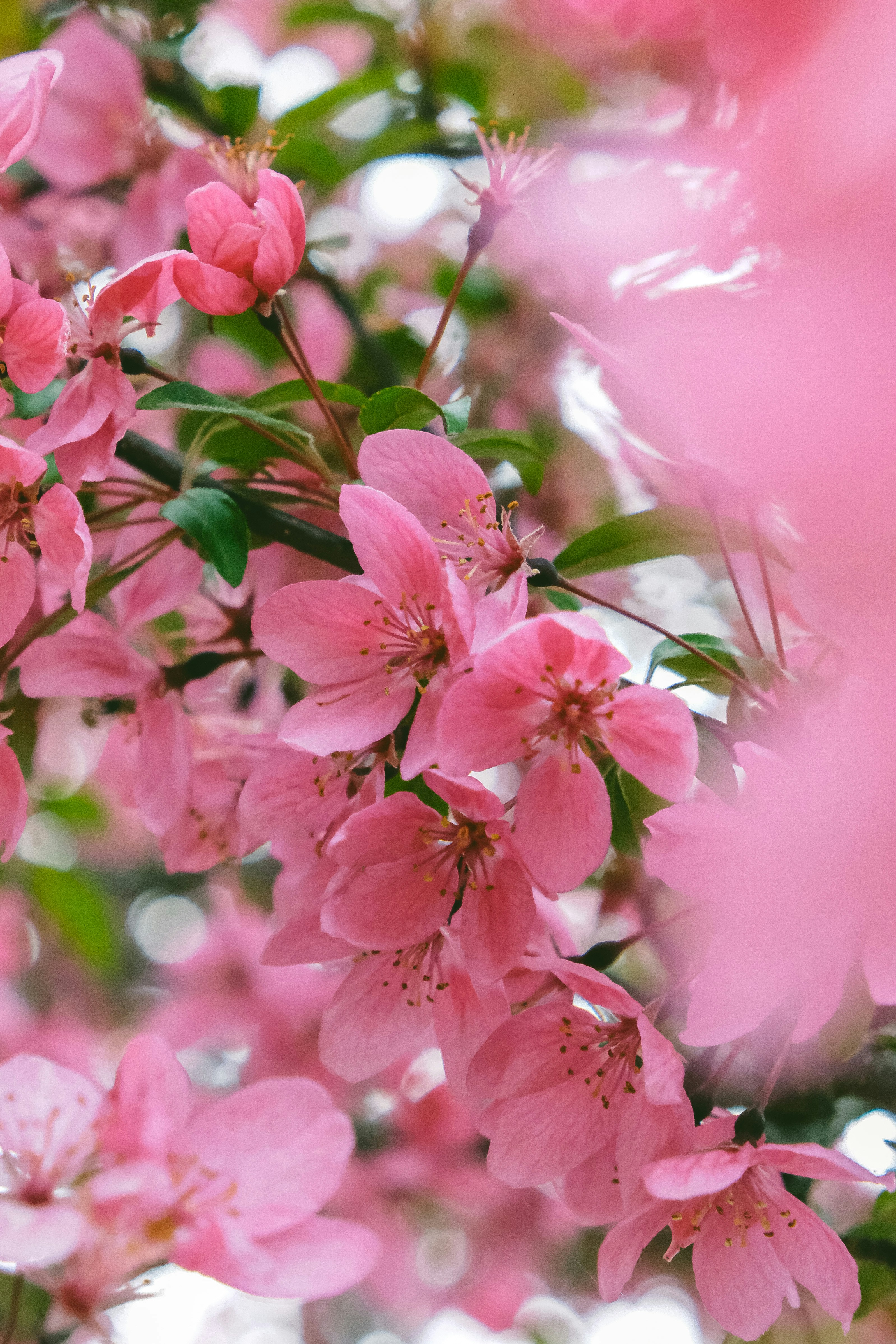 Photo by create4eyes