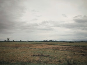 a large open field