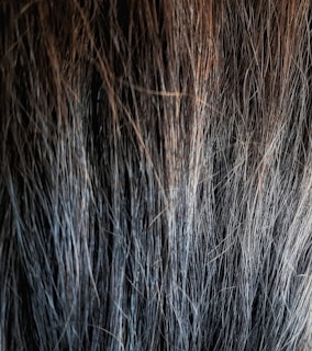 a close up of a woman's hair