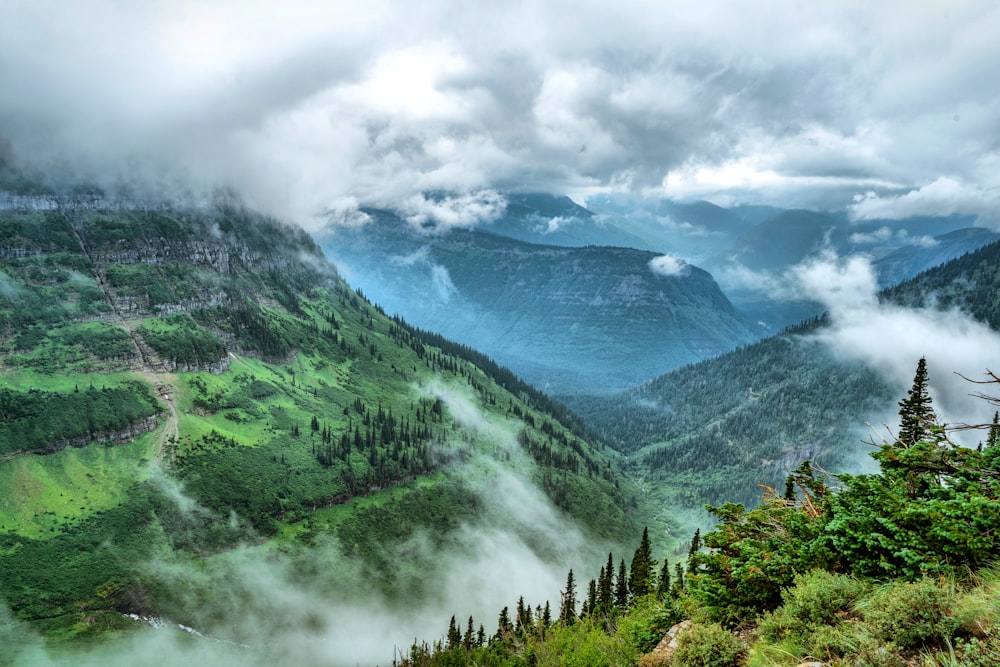 a valley with trees and mountains