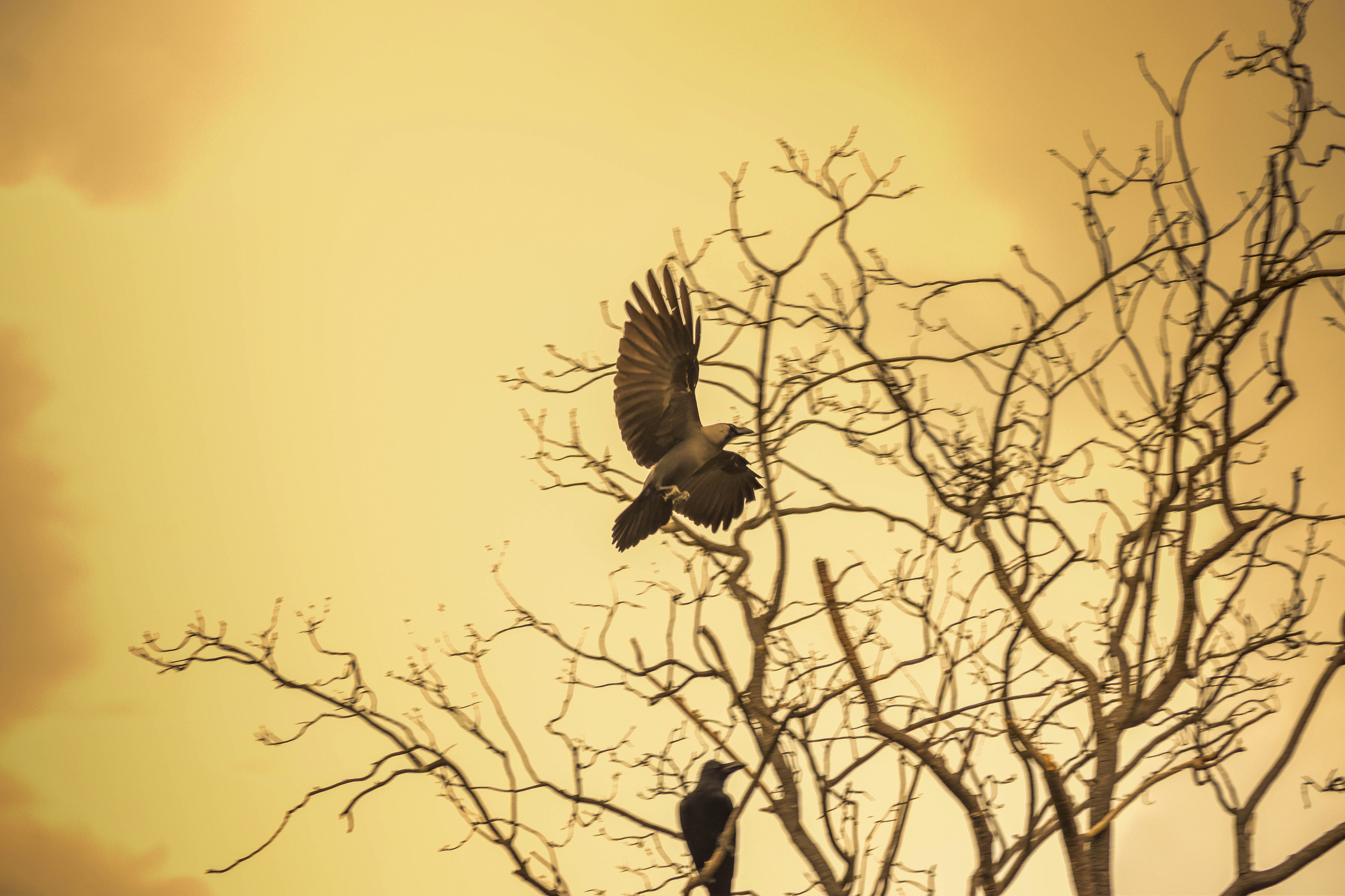 Photo by navi_photography