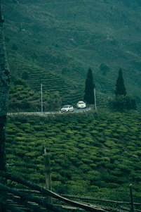 A cozy luxury vehicle winding through the lush hills of Darjeeling under a clear blue sky.