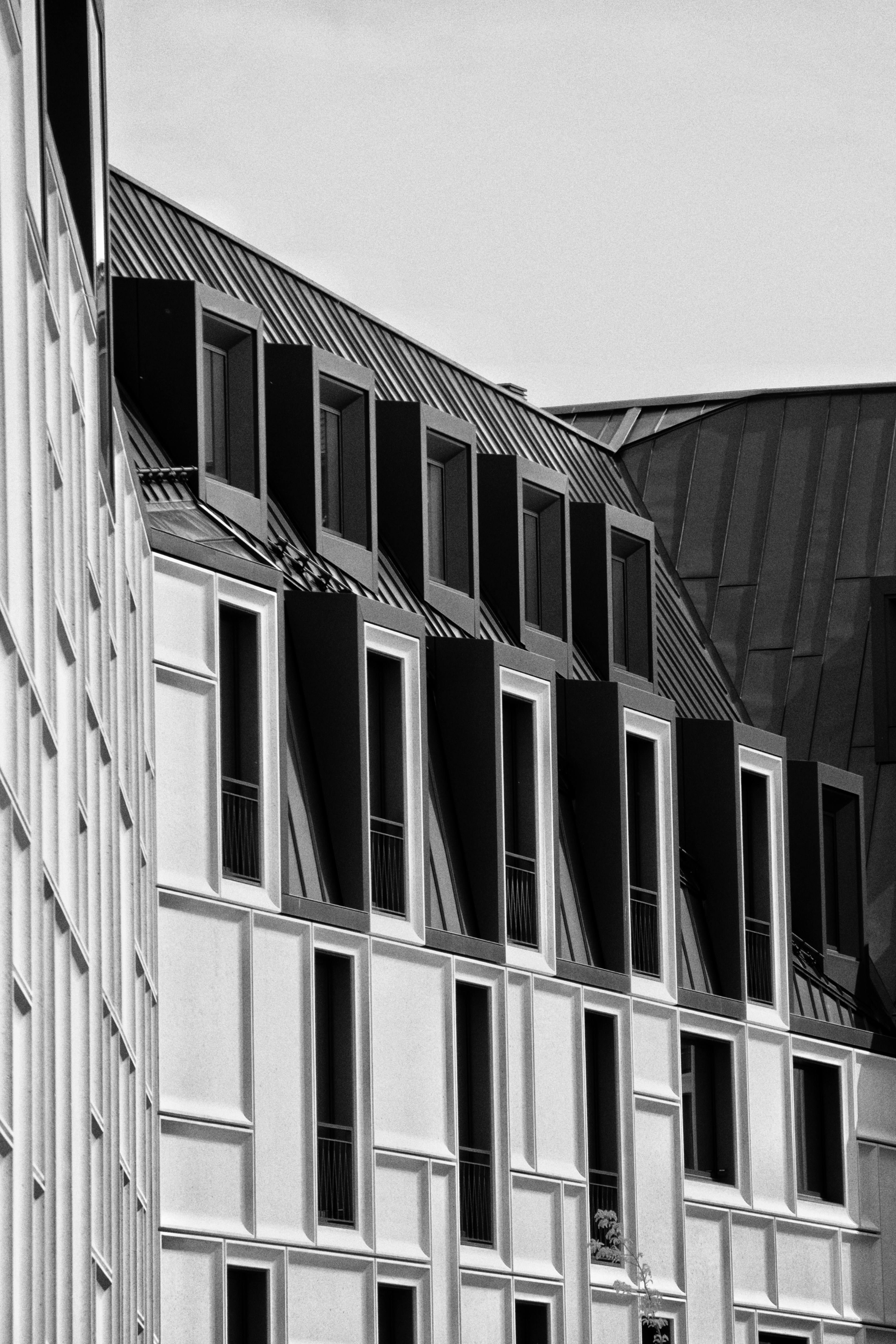 Photo by janoliverschwarz