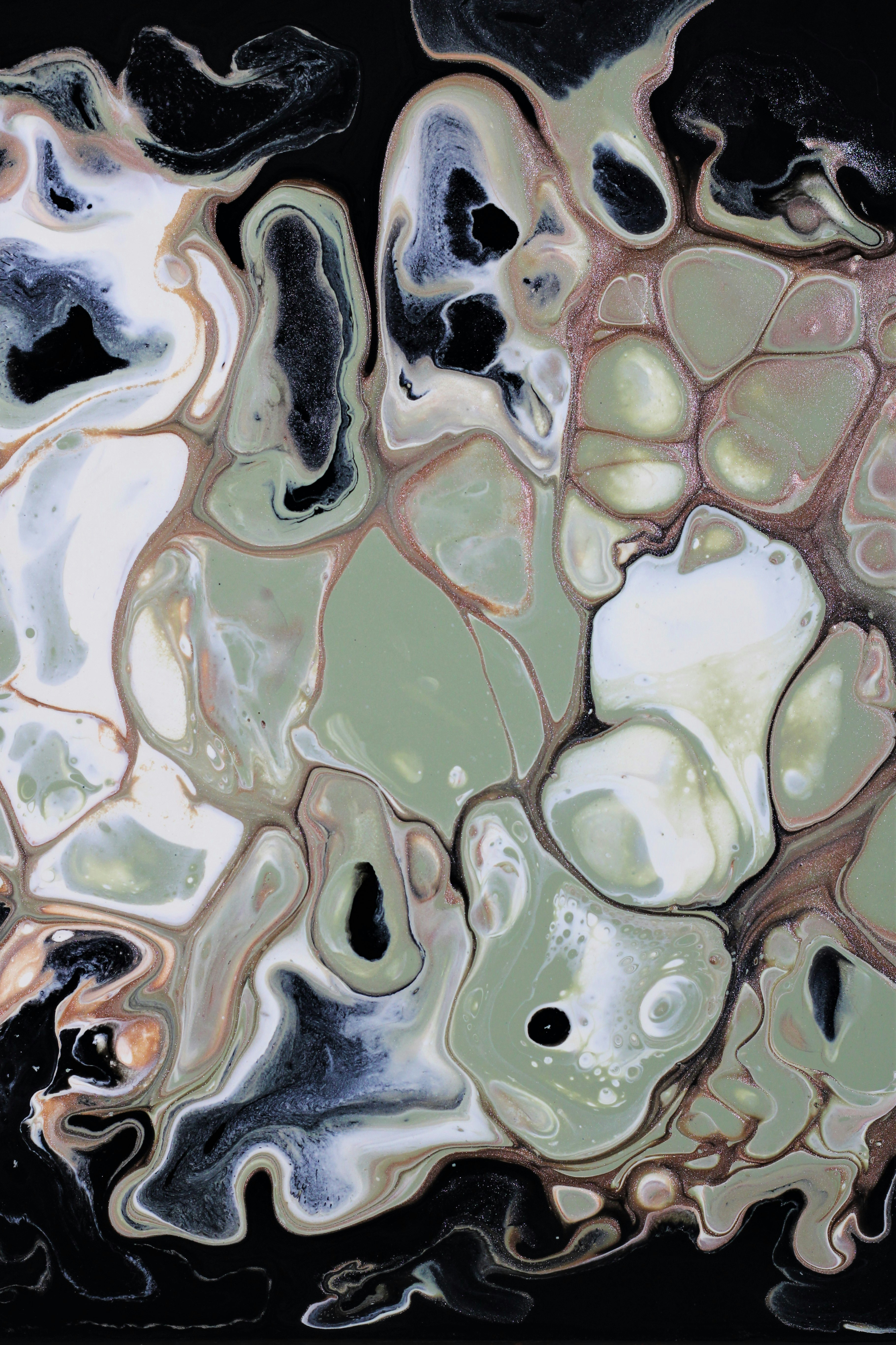 a group of colorful butterflies