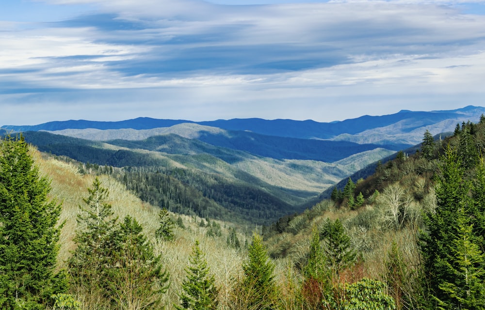 a landscape with trees and mountains