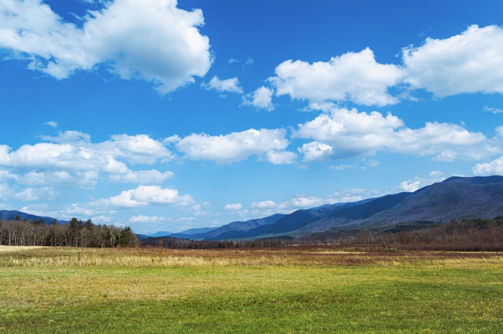 a large green field with mountains in the background