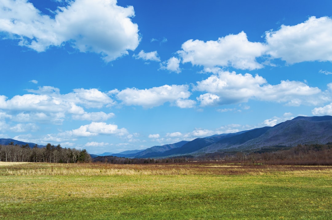 a large green field with mountains in the background, View from the road in Cade