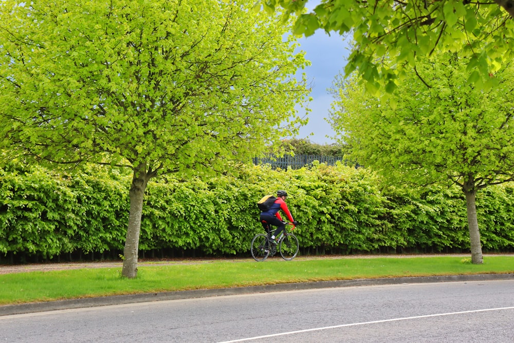 uma pessoa andando de bicicleta em uma estrada com árvores de ambos os lados