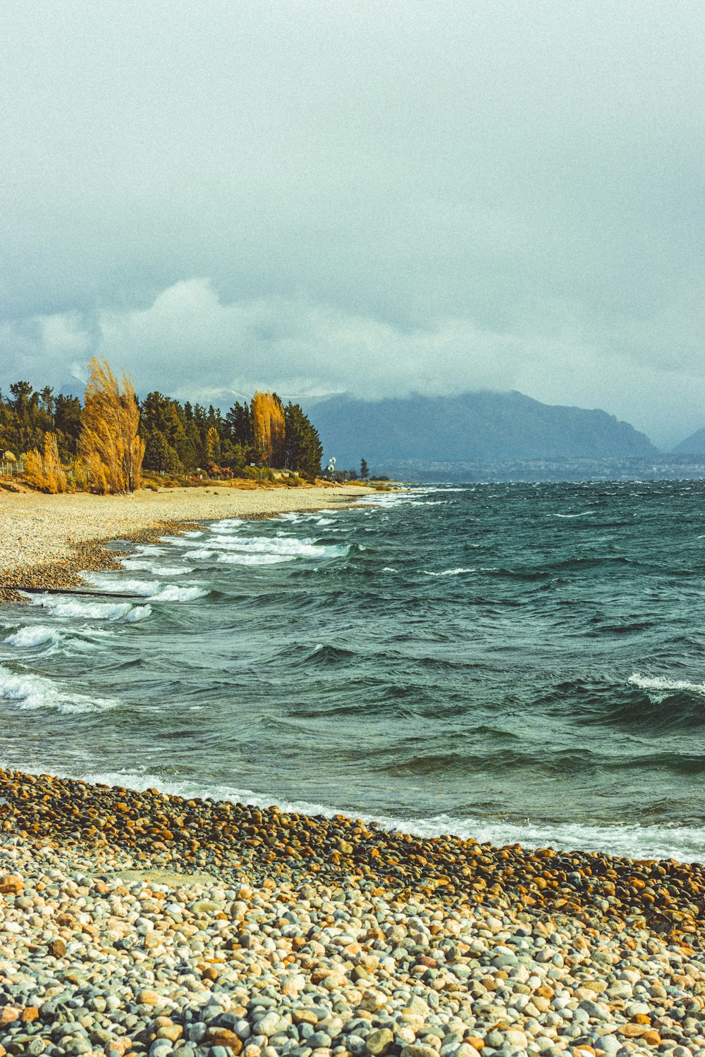 a rocky beach with trees and water