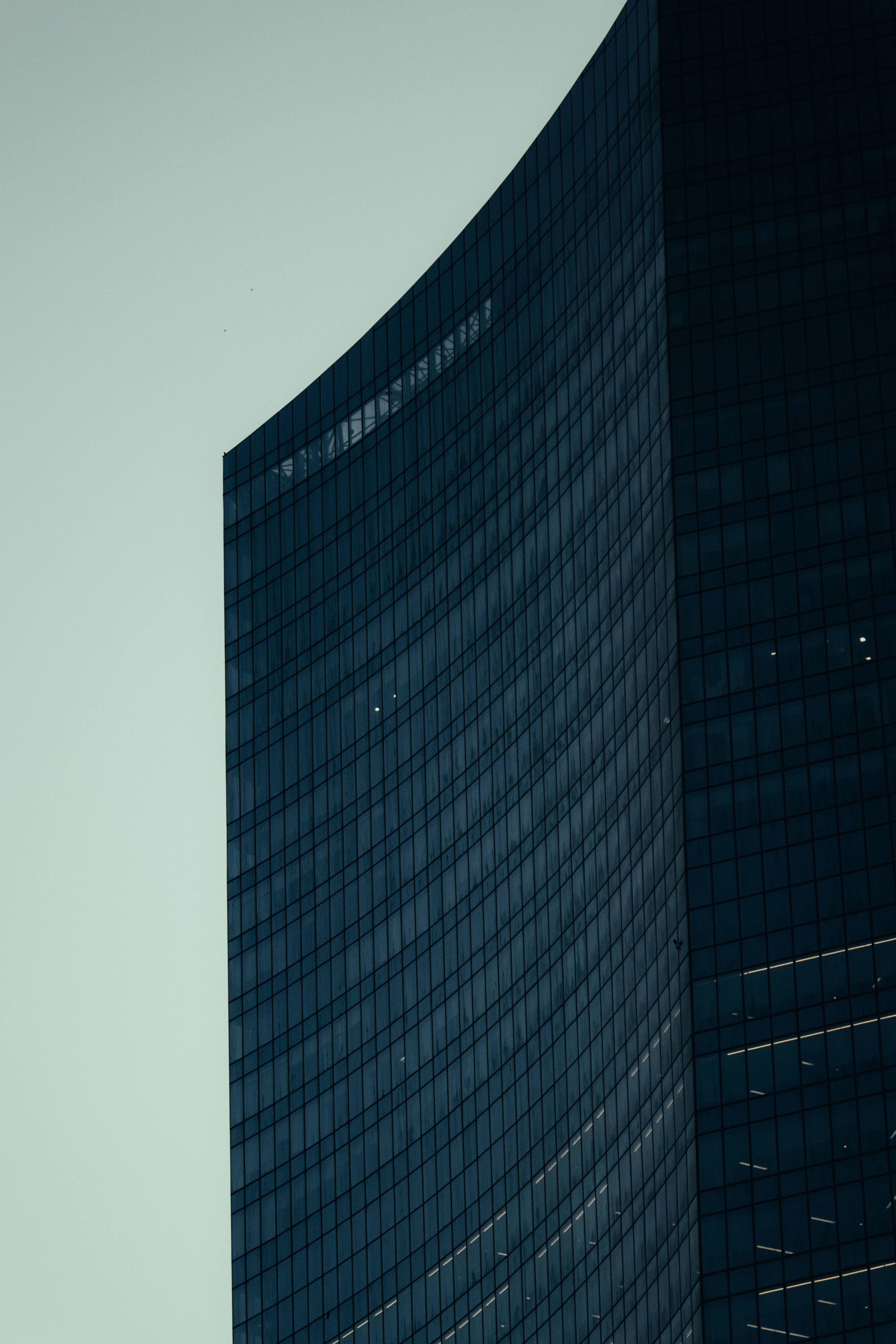 Photo by salaheregouane