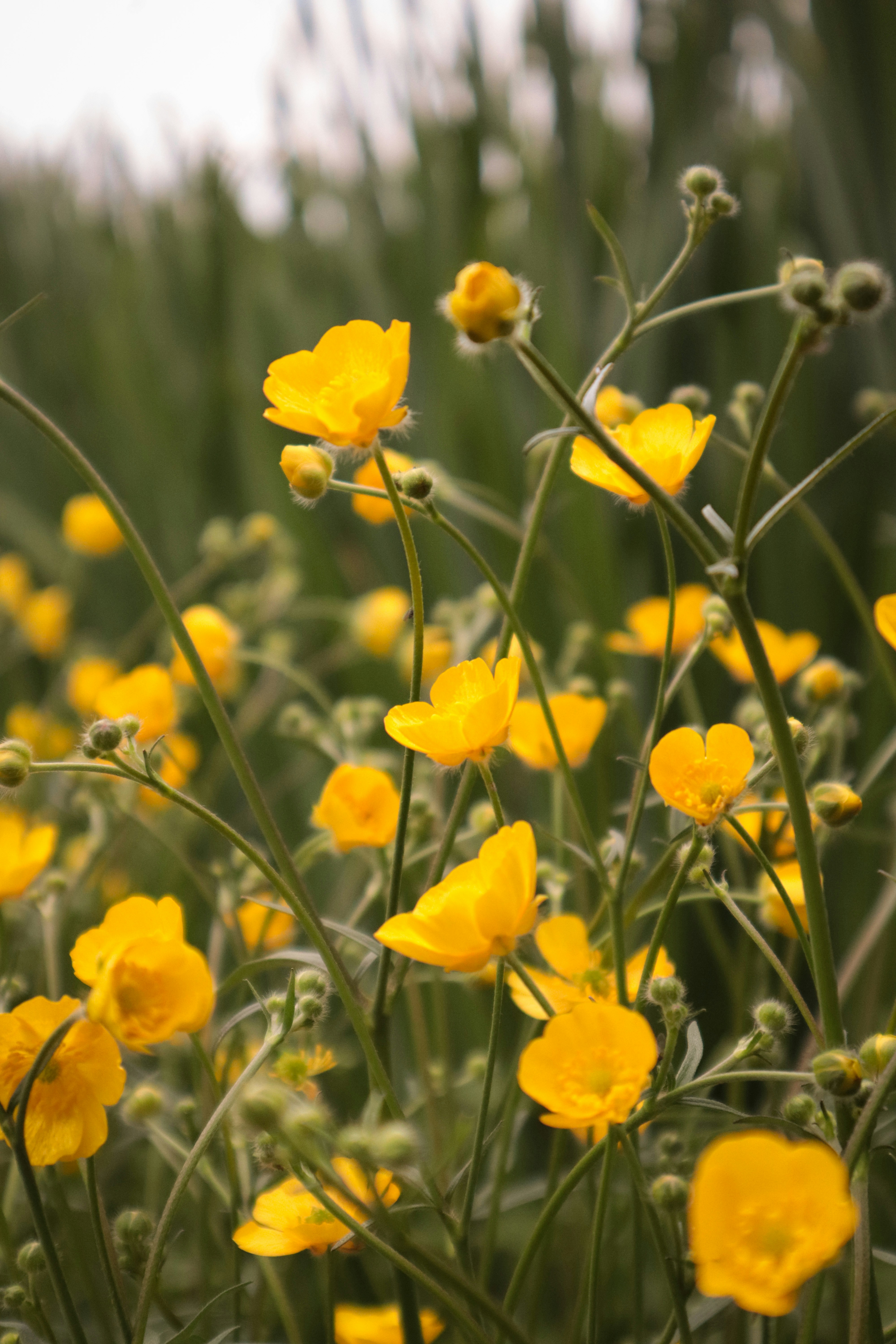 Photo by kccreations