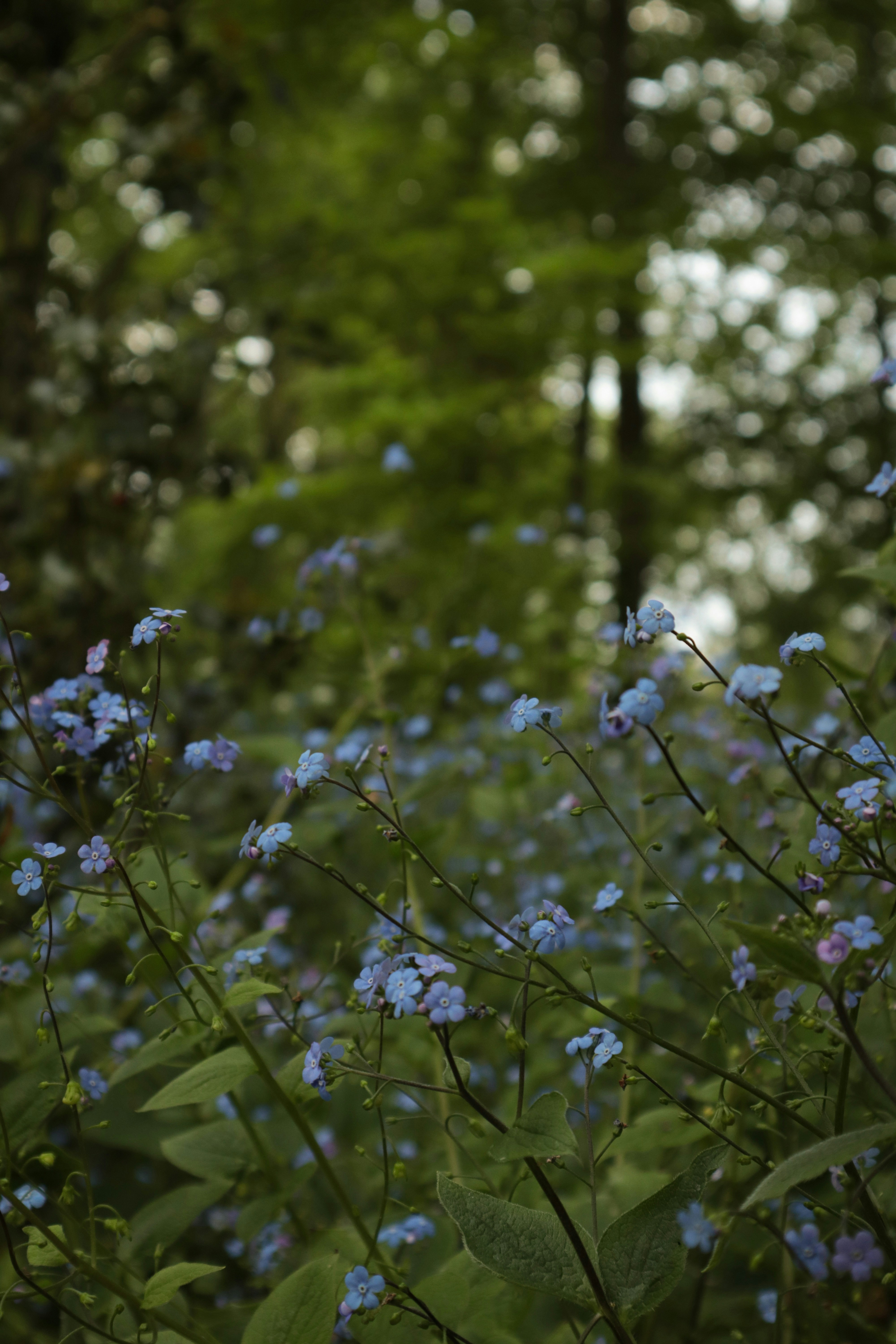 Photo by kccreations