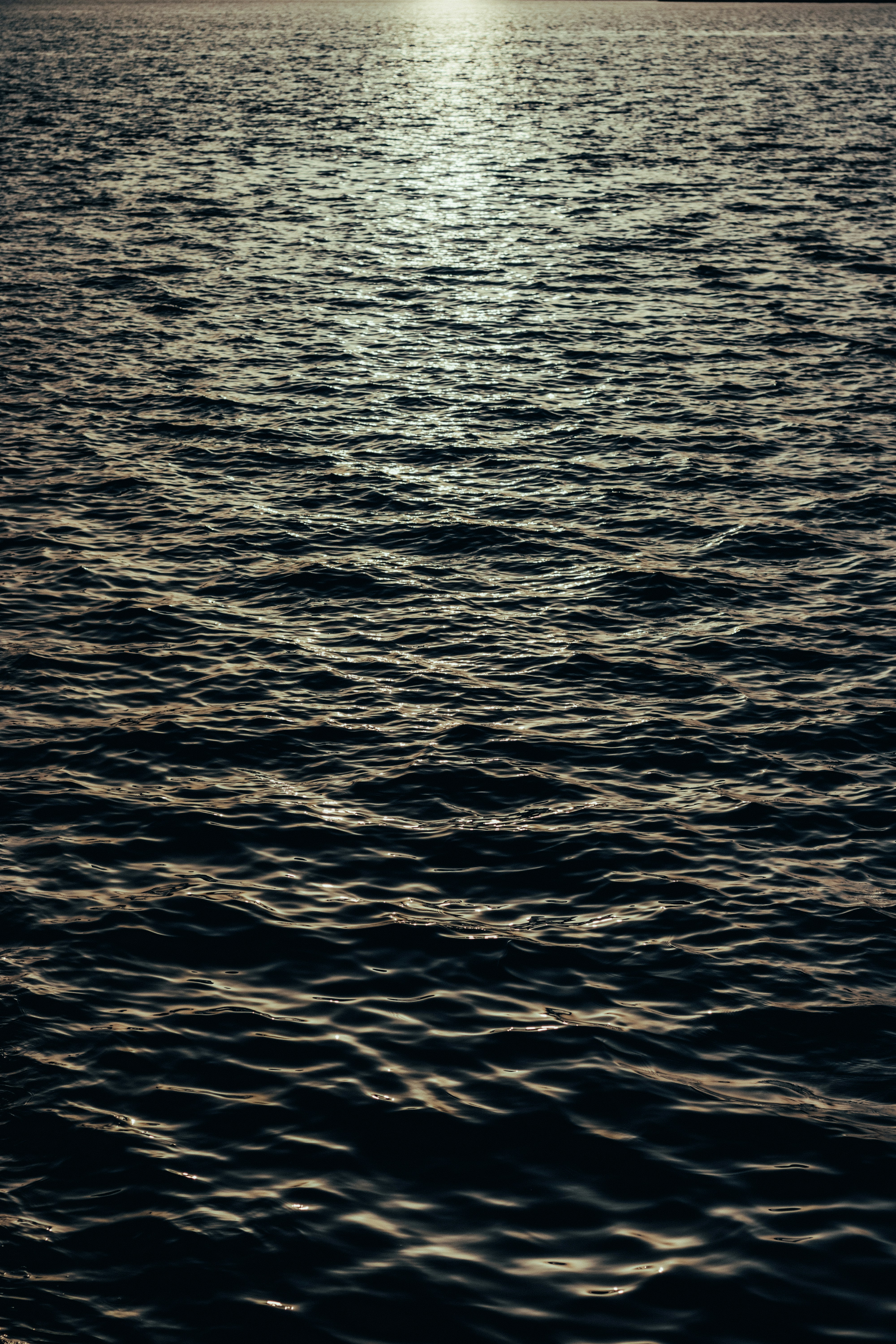 Photo by salaheregouane