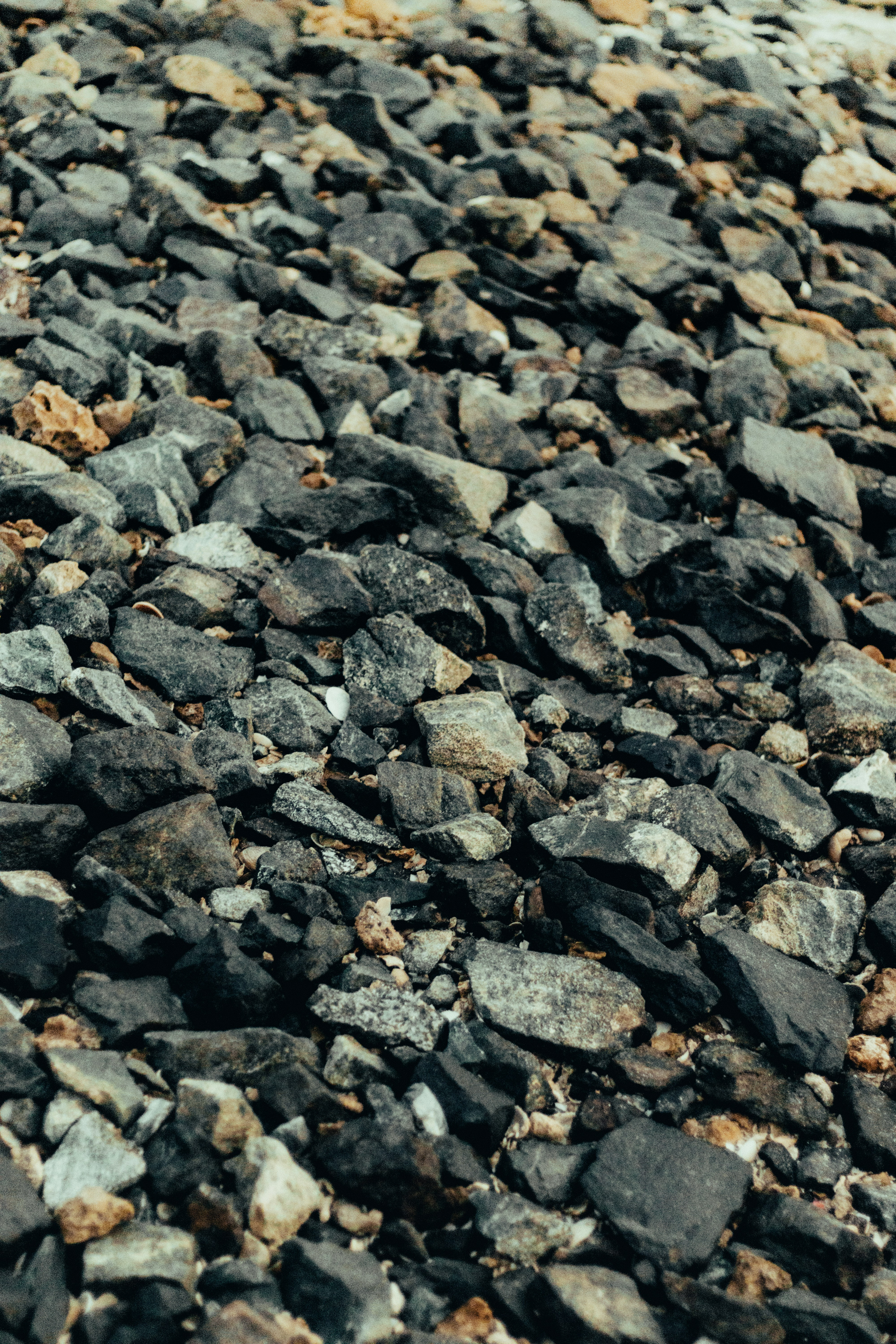 Photo by salaheregouane