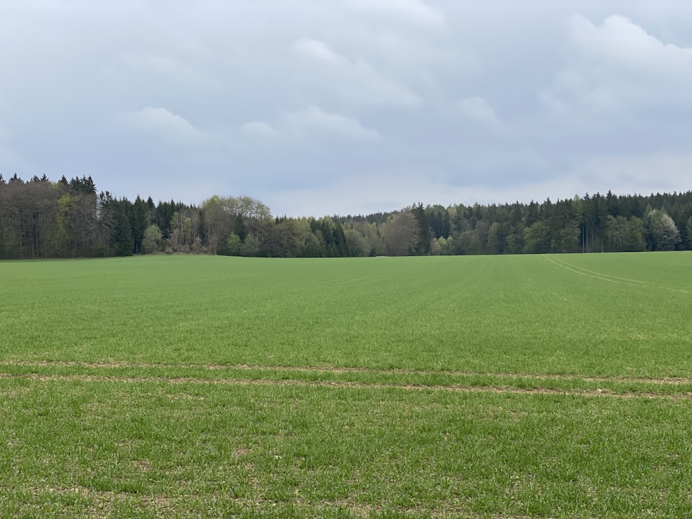 a large green field with trees in the background