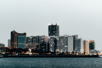 a city skyline with a body of water in the foreground