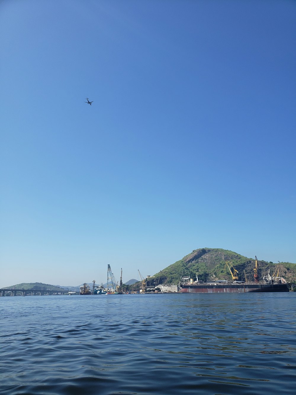 a bird flying over a body of water