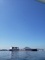 A large cargo ship with the name 'SAGA WELCO' is sailing on calm waters under a clear blue sky. In the distance, an airplane is flying high above. There are distant hilly landscapes and a few buildings visible on the horizon.