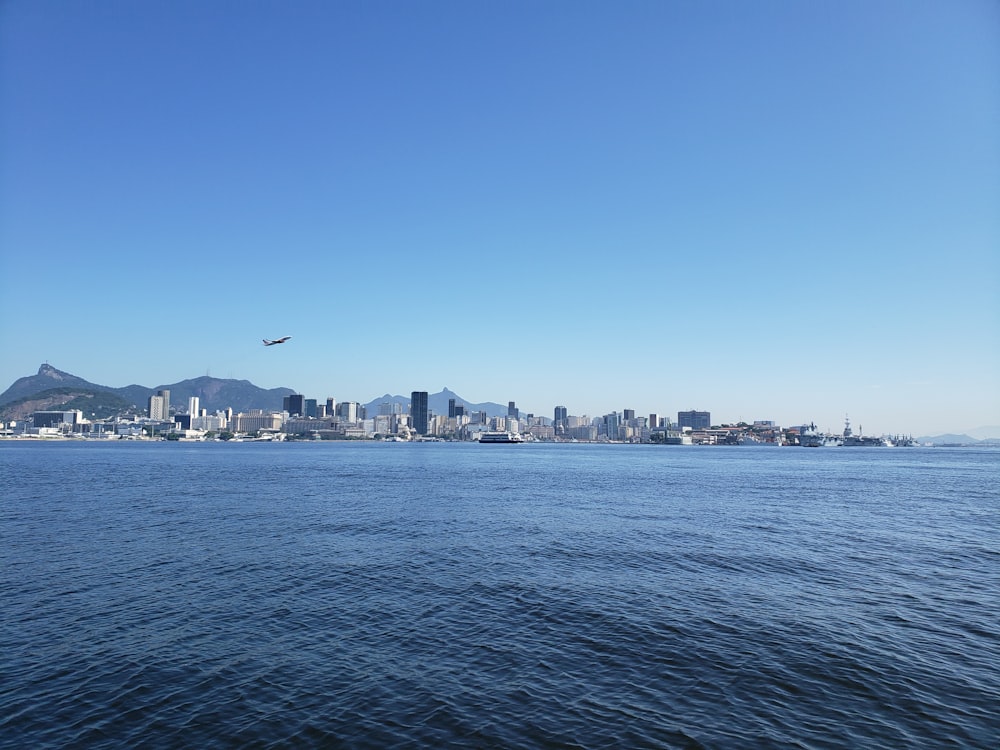 a bird flying over a body of water with a city in the background