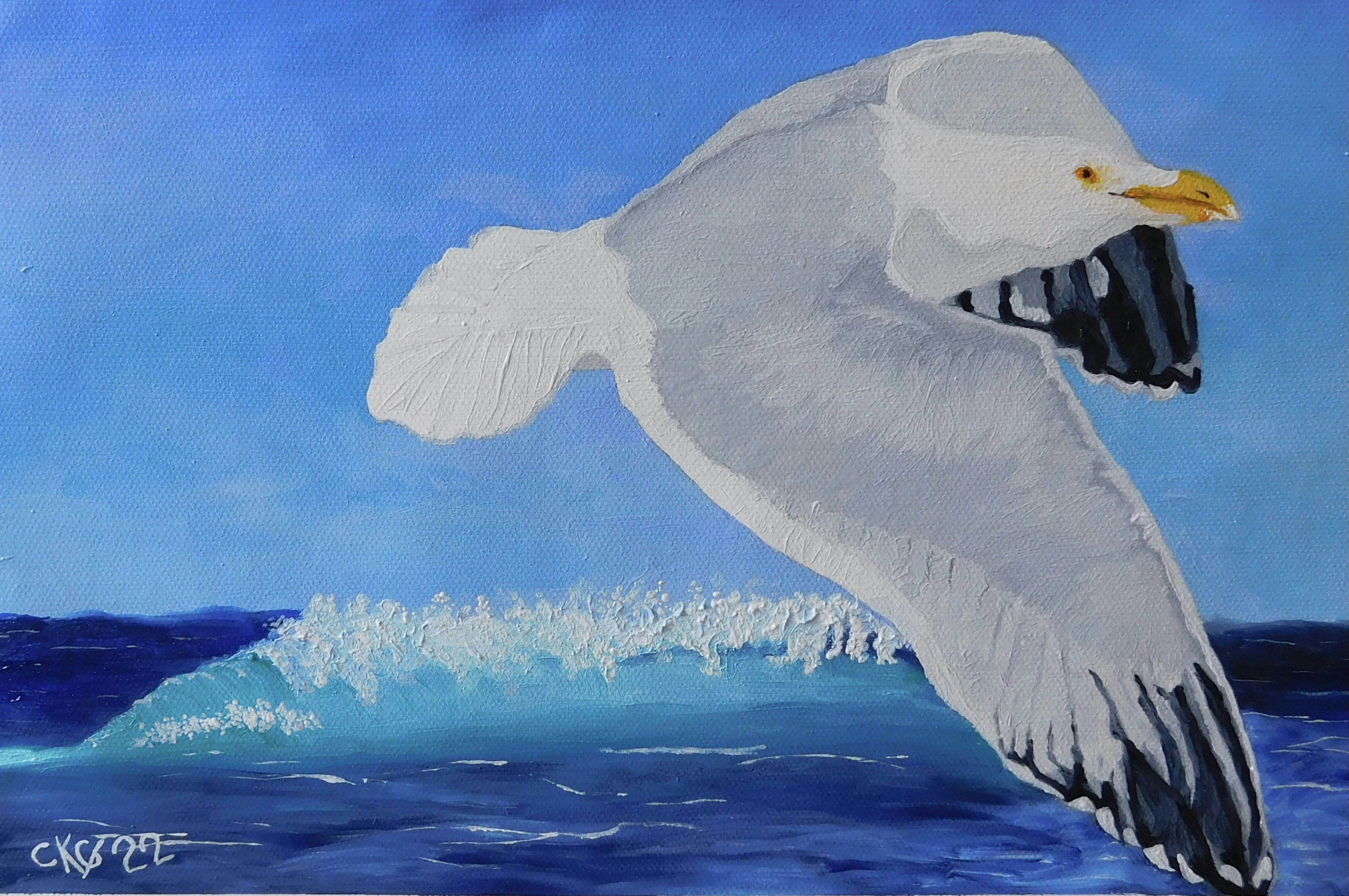 Why is My Thyme Plant Dying UpGardening