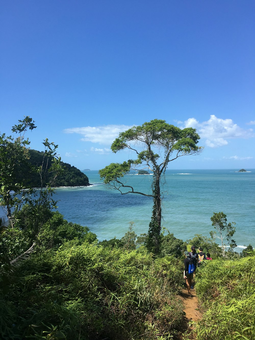 a group of people walking on a path by a body of water