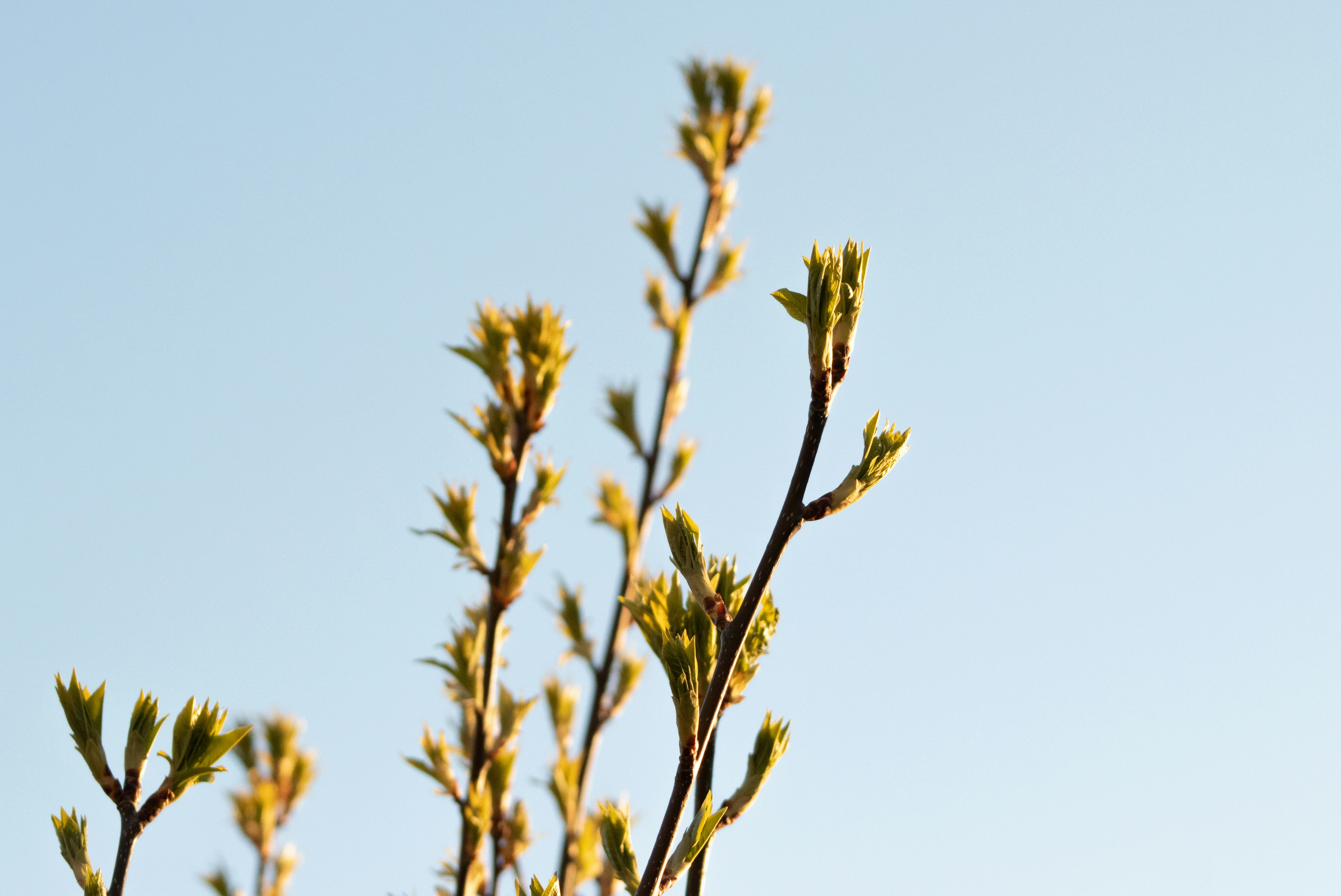 Photo by alpridephoto