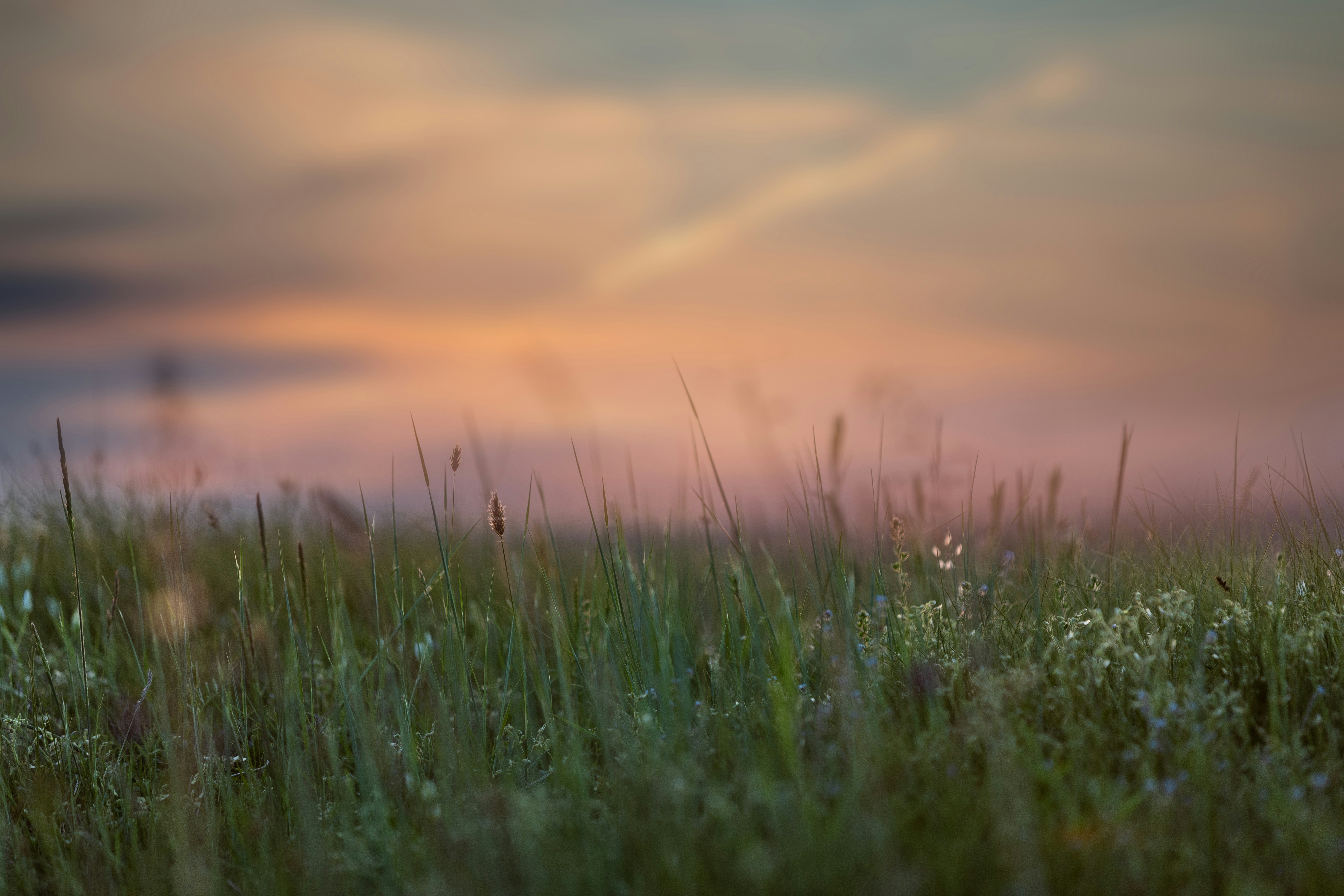 Photo by ovidiugruescu