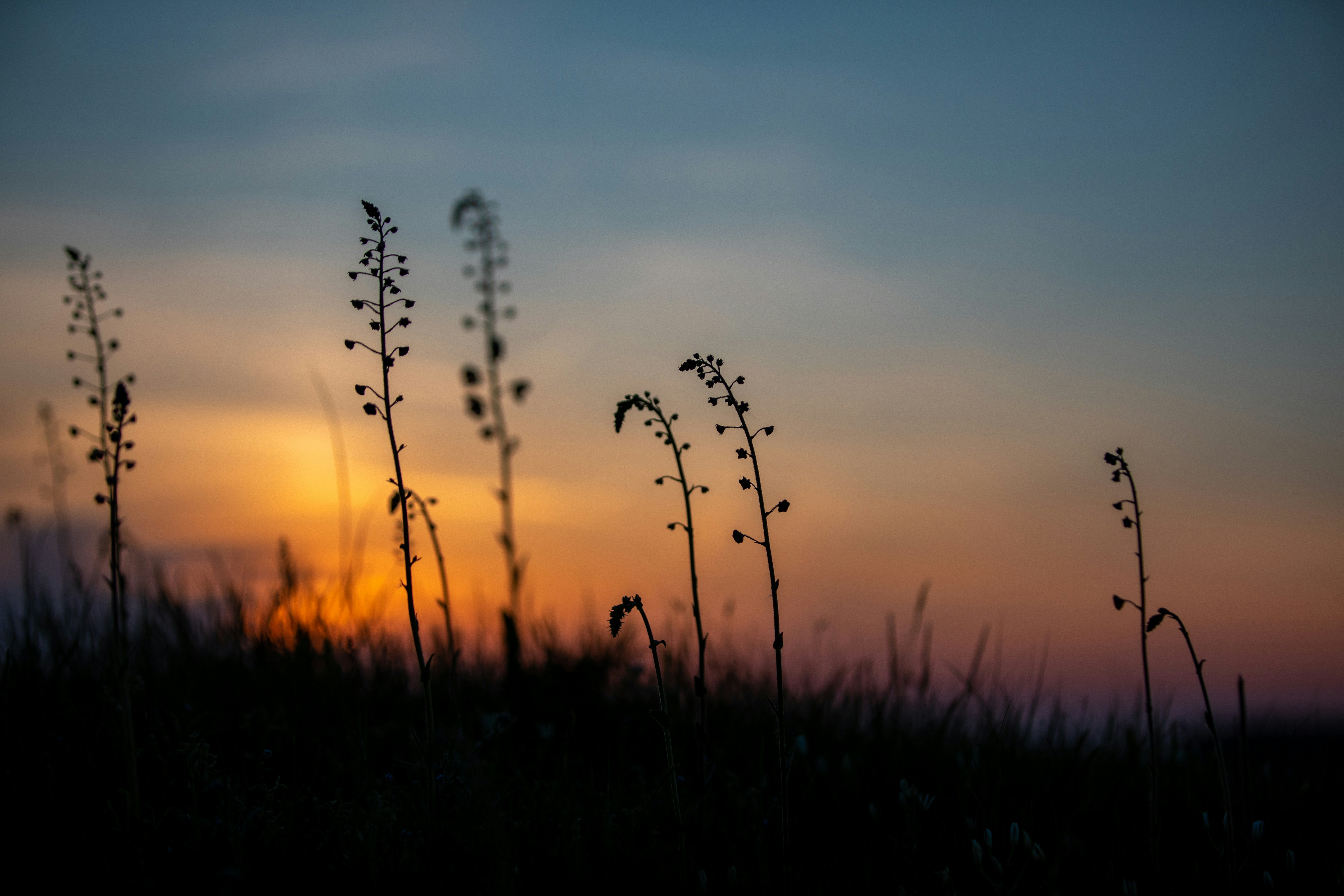 Photo by ovidiugruescu