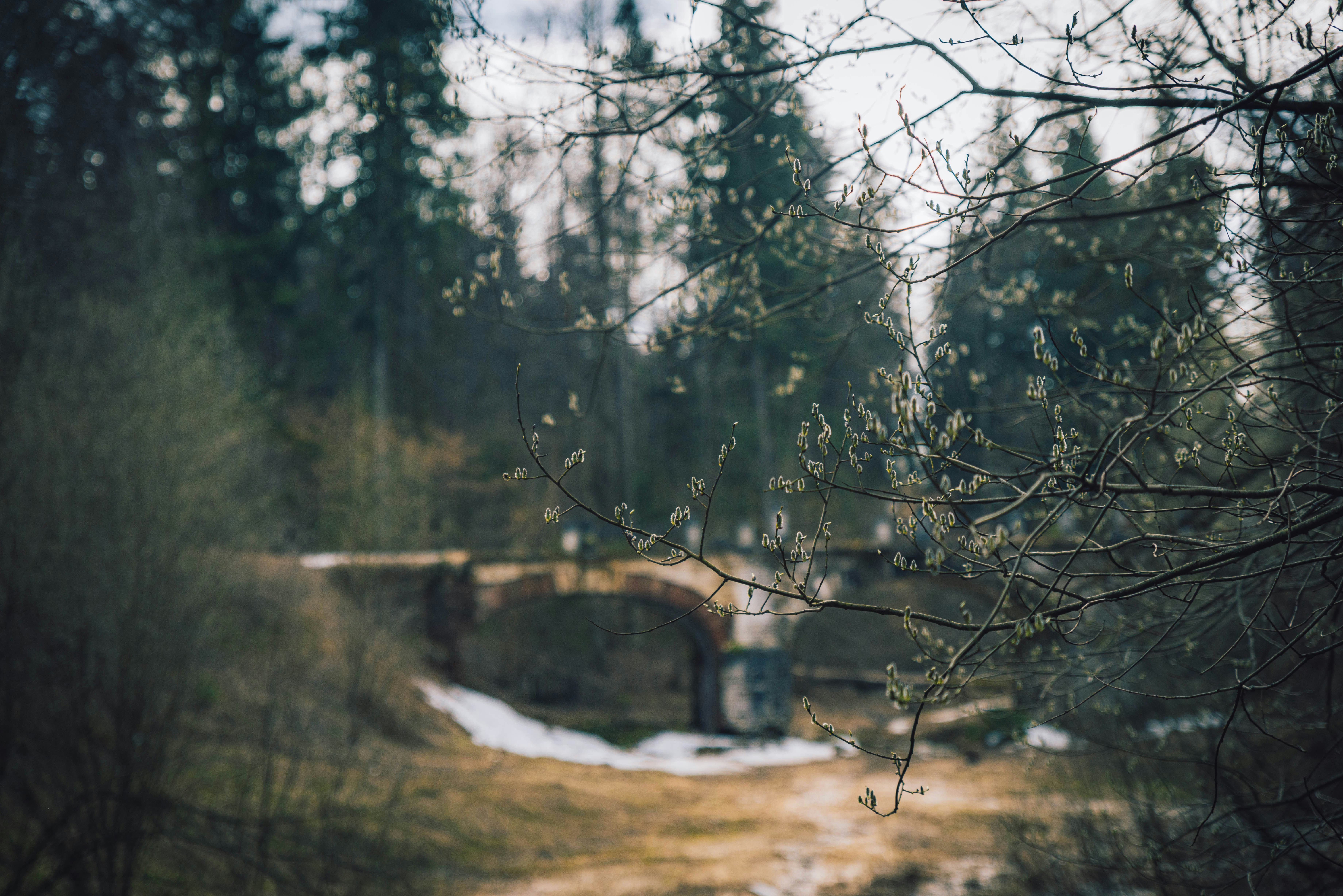 Photo by lendermaria