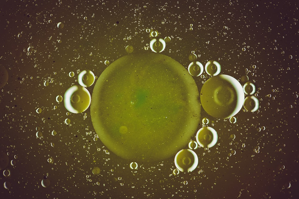 a green leaf with water drops on it