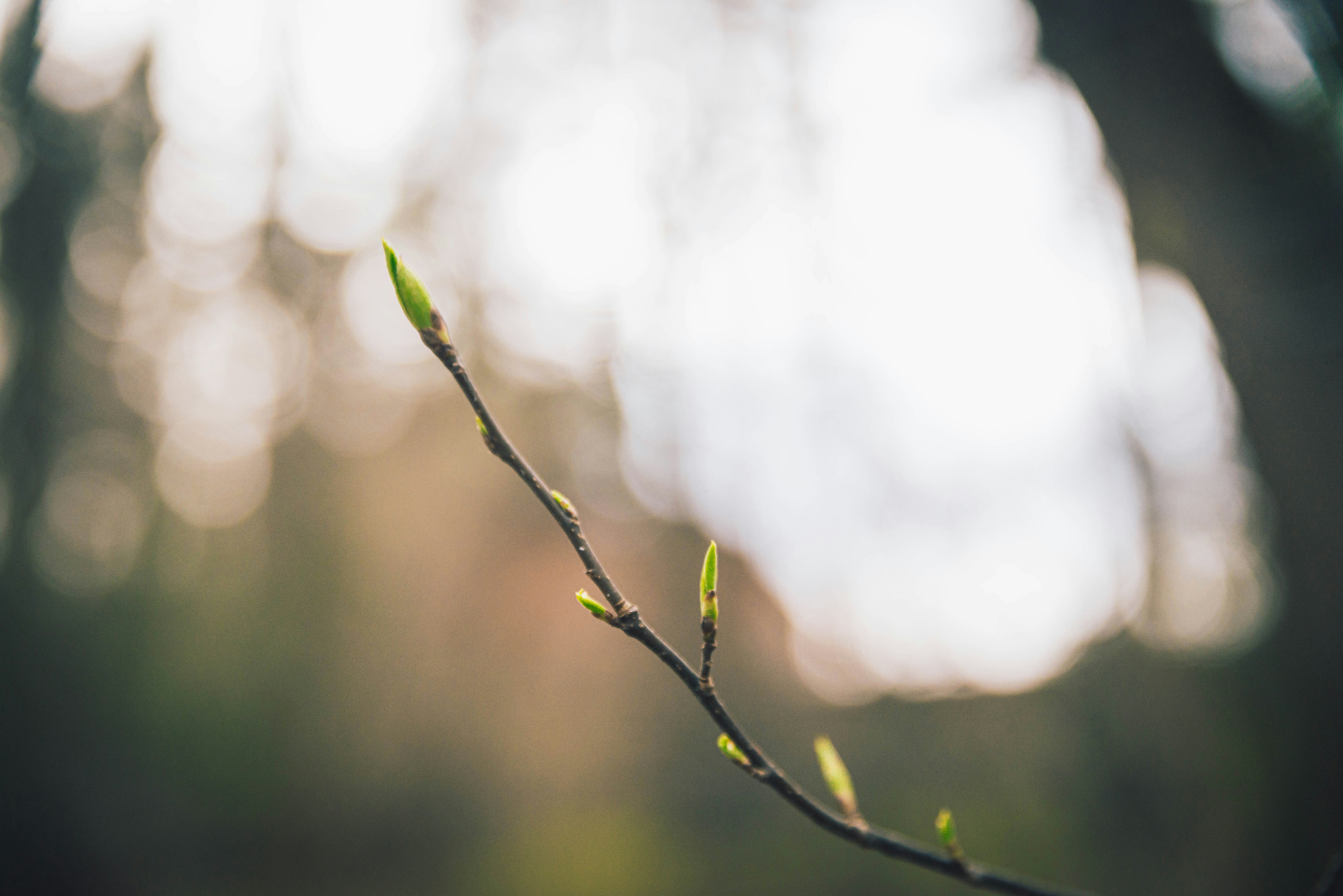 Photo by lendermaria