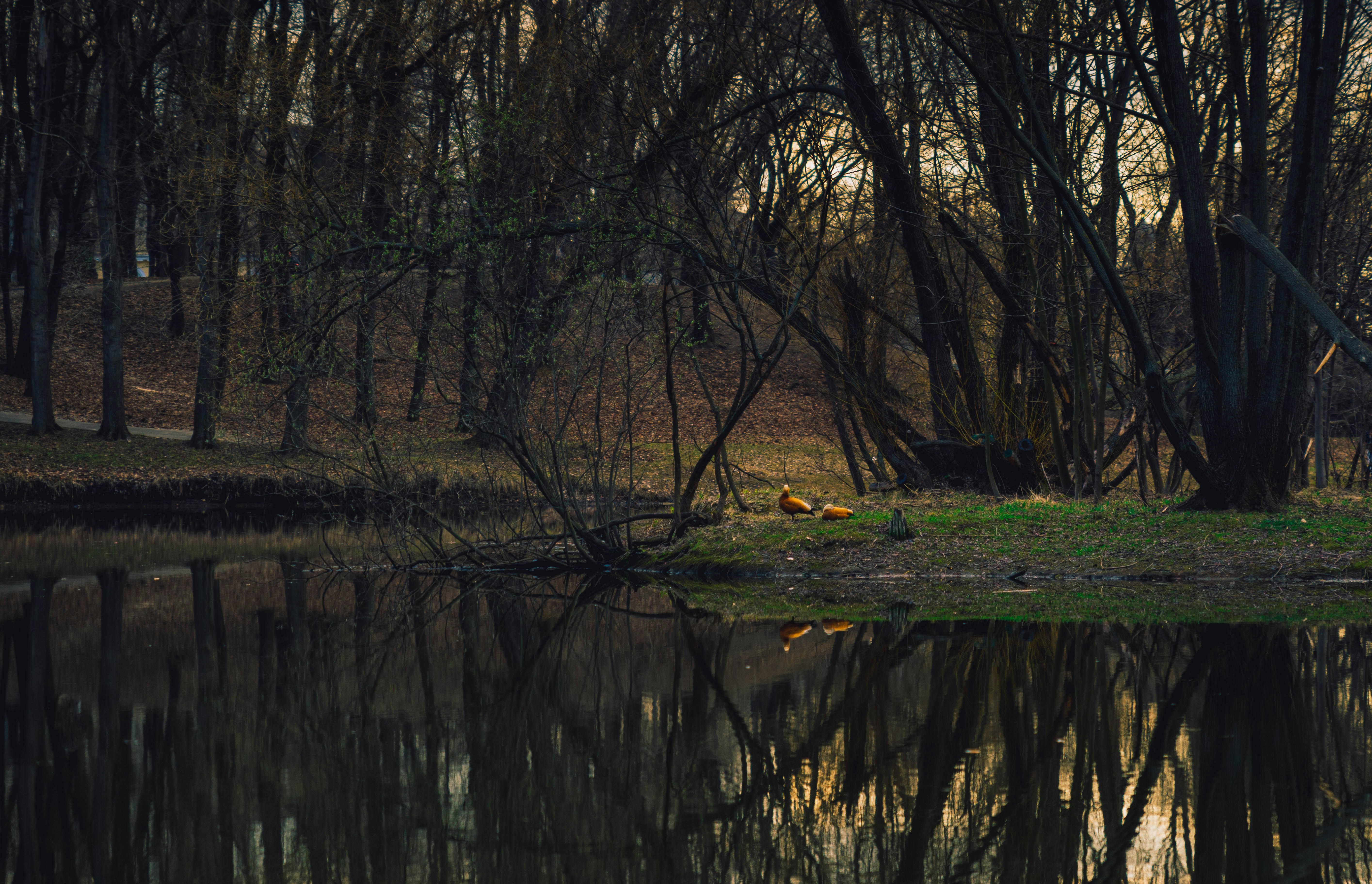 Photo by lendermaria