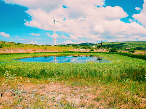 a windmill in a field