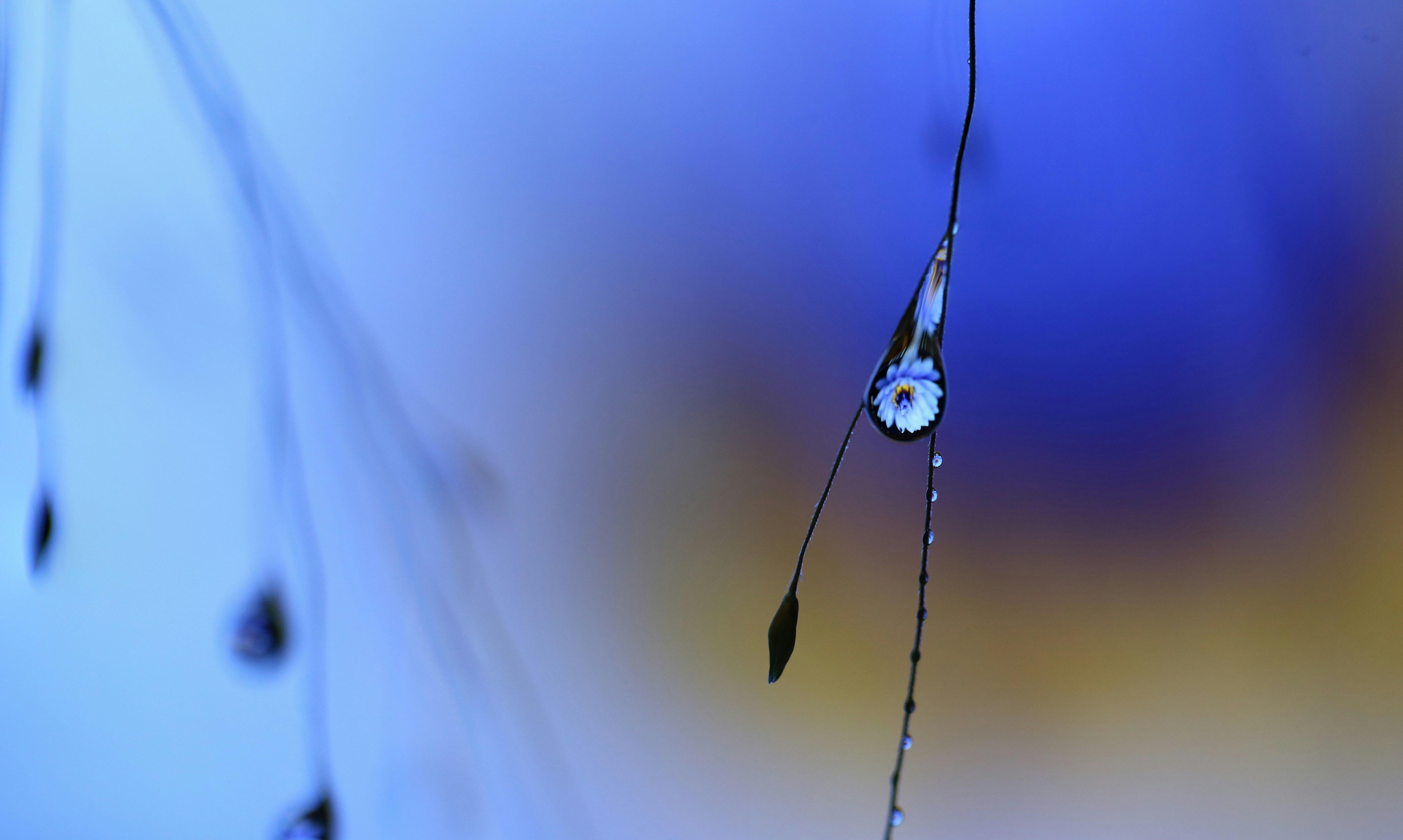 Water drop close-up, ilustrasi artikel The Secret Weapon: How Hyaluronic Acid Hydrates Oily Skin Without the Grease 7