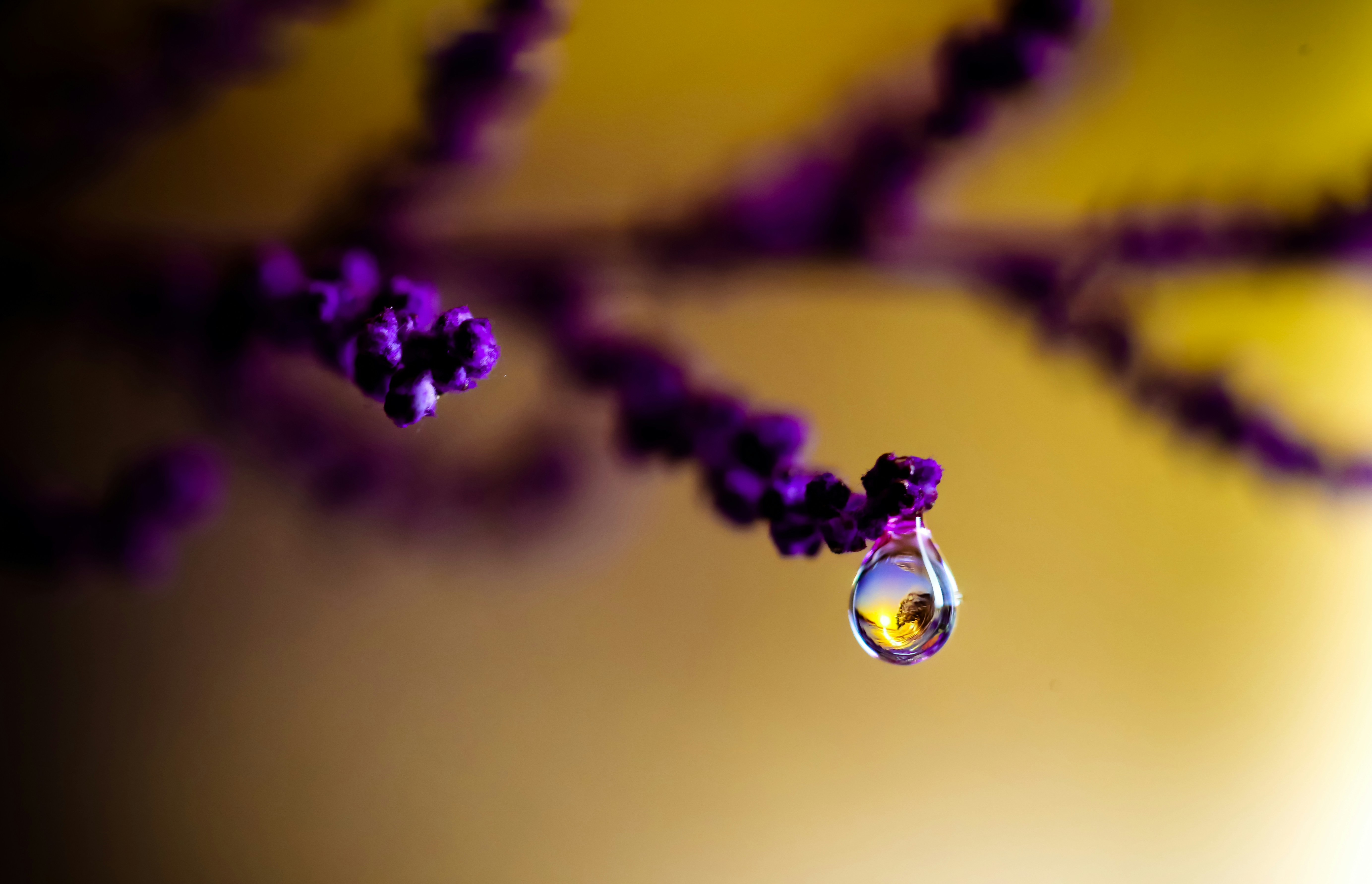 Water drop close-up, ilustrasi artikel The Secret Weapon: How Hyaluronic Acid Hydrates Oily Skin Without the Grease 9