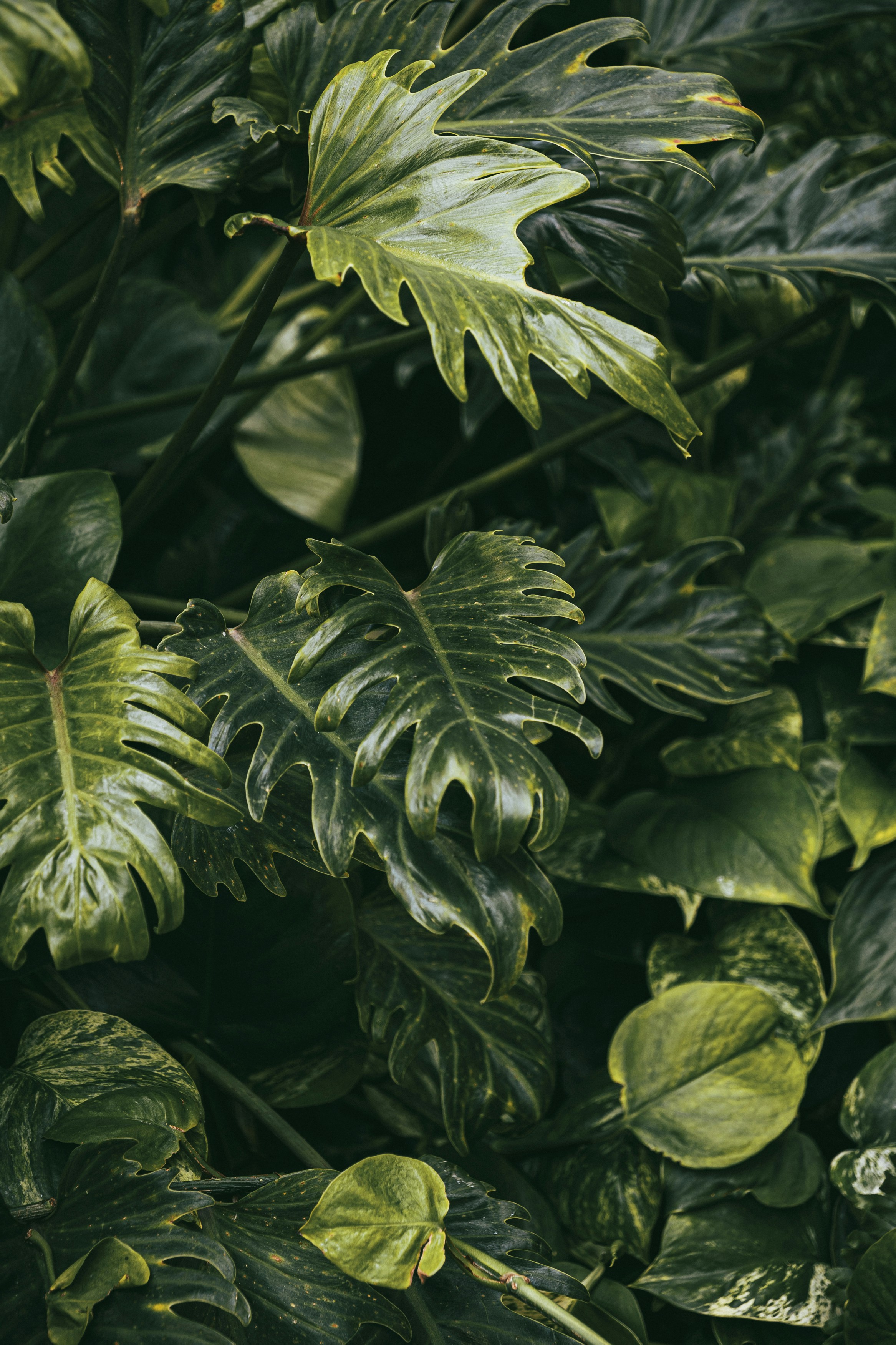 Photo by fredrikposse