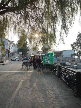 a group of people walking down a street with a cart and a tree