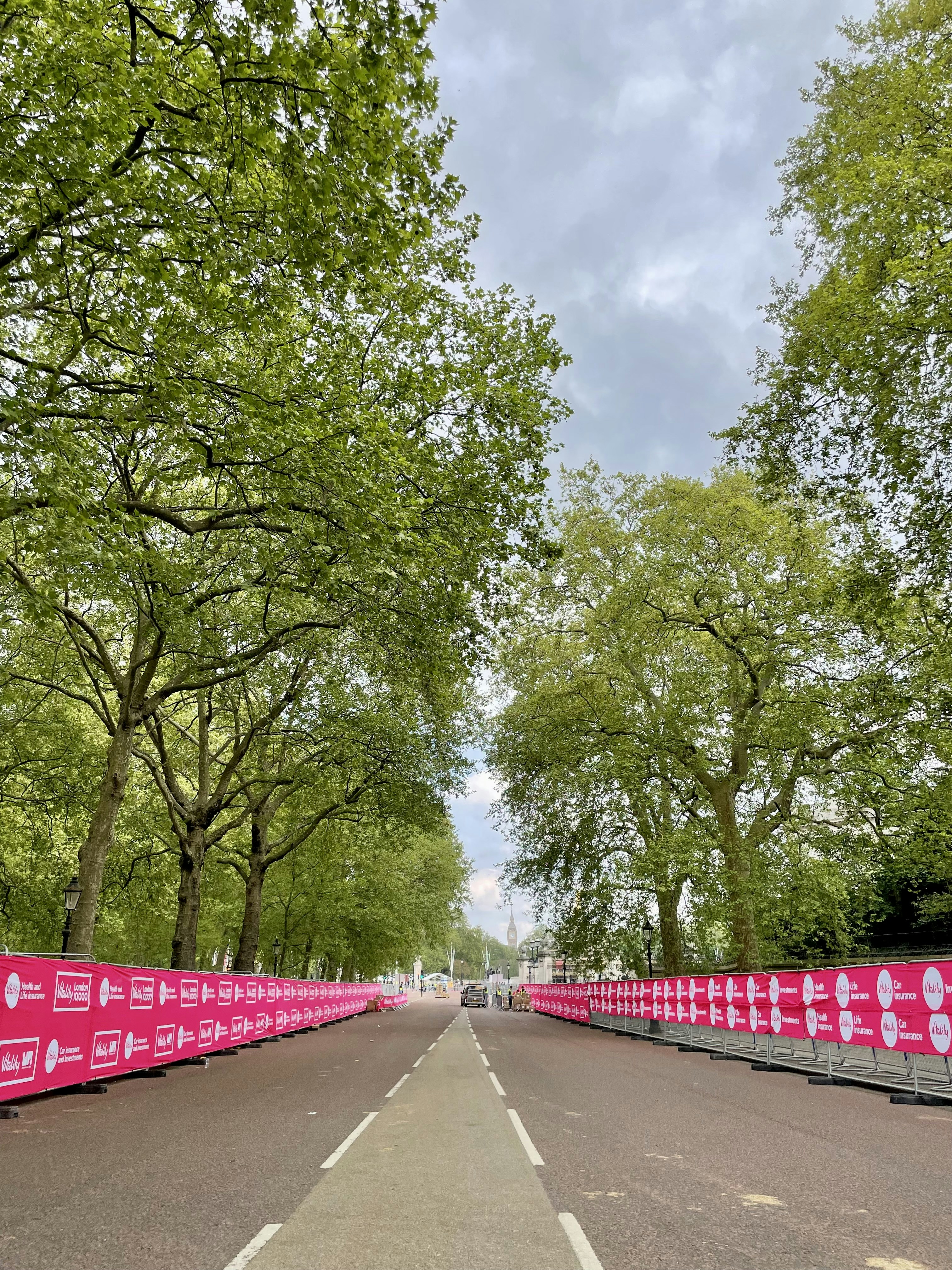 a road with trees on the side