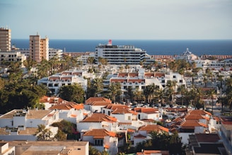 A coastal urban landscape featuring a mix of white buildings with red-tiled roofs, small palm trees scattered throughout the scene, and taller structures in the background overlooking the sea. A cruise ship is visible on the water, emphasizing the connection between the city and the ocean.