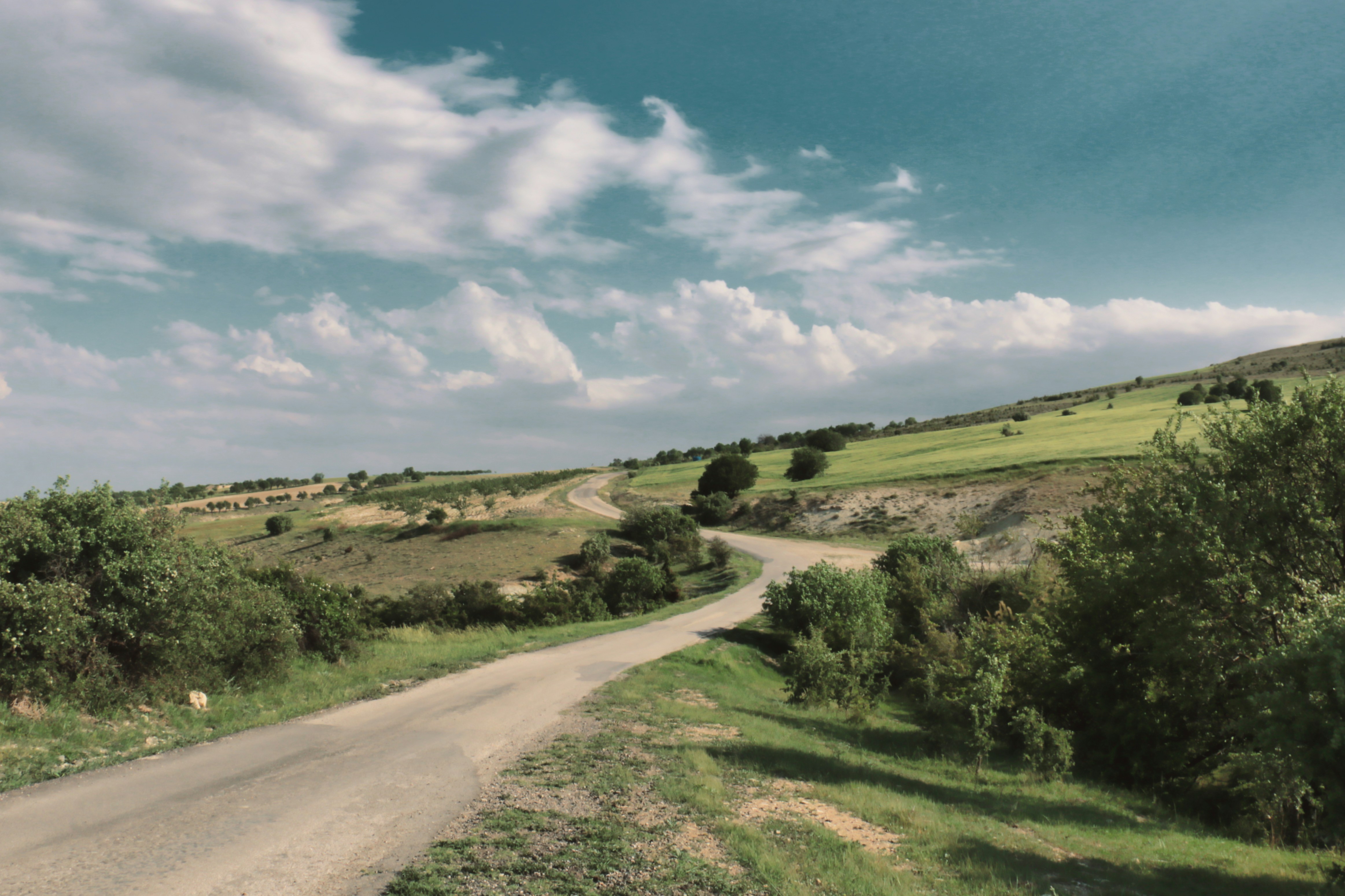 a road going through a grassy area