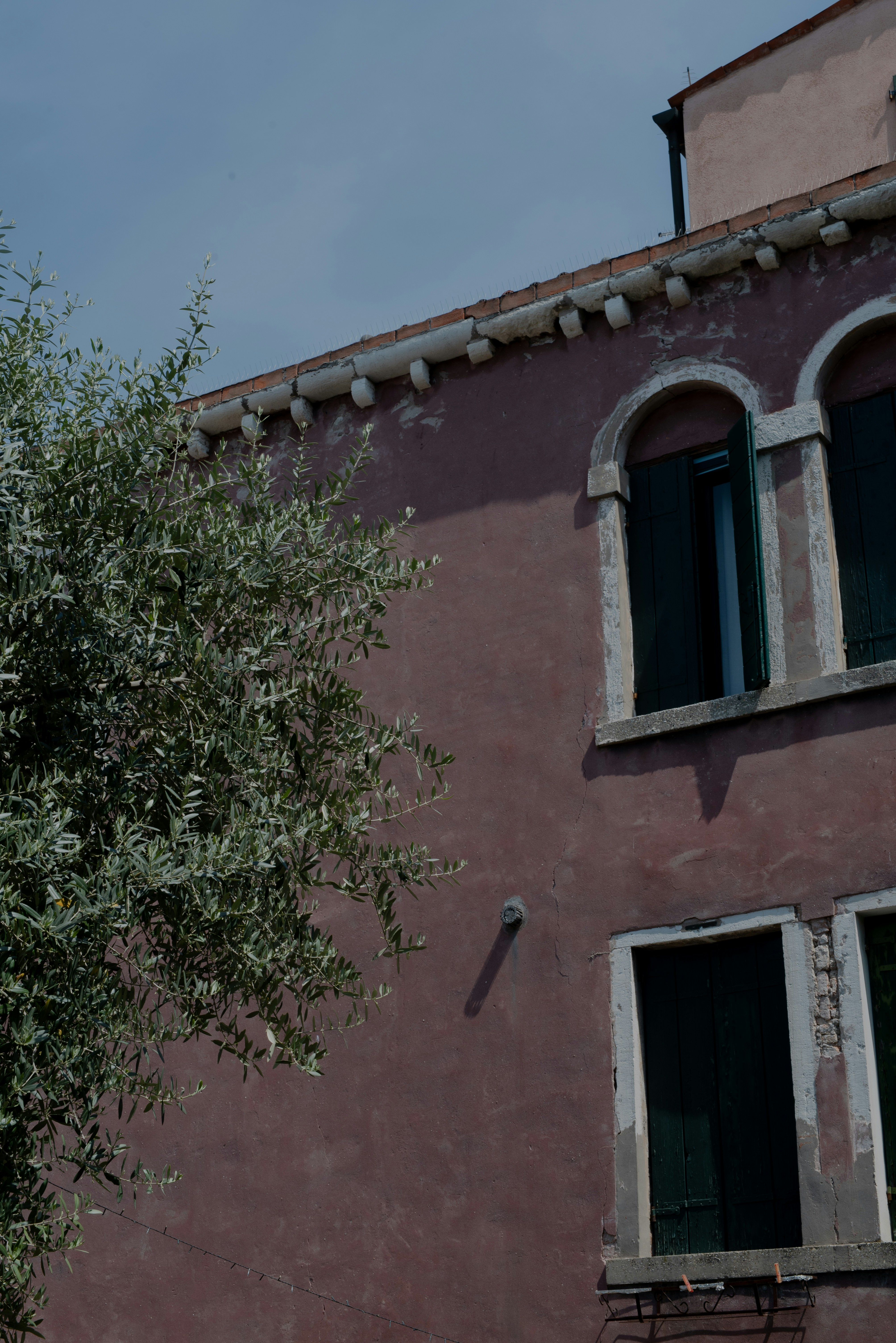 Ein Baum neben einem Gebäude