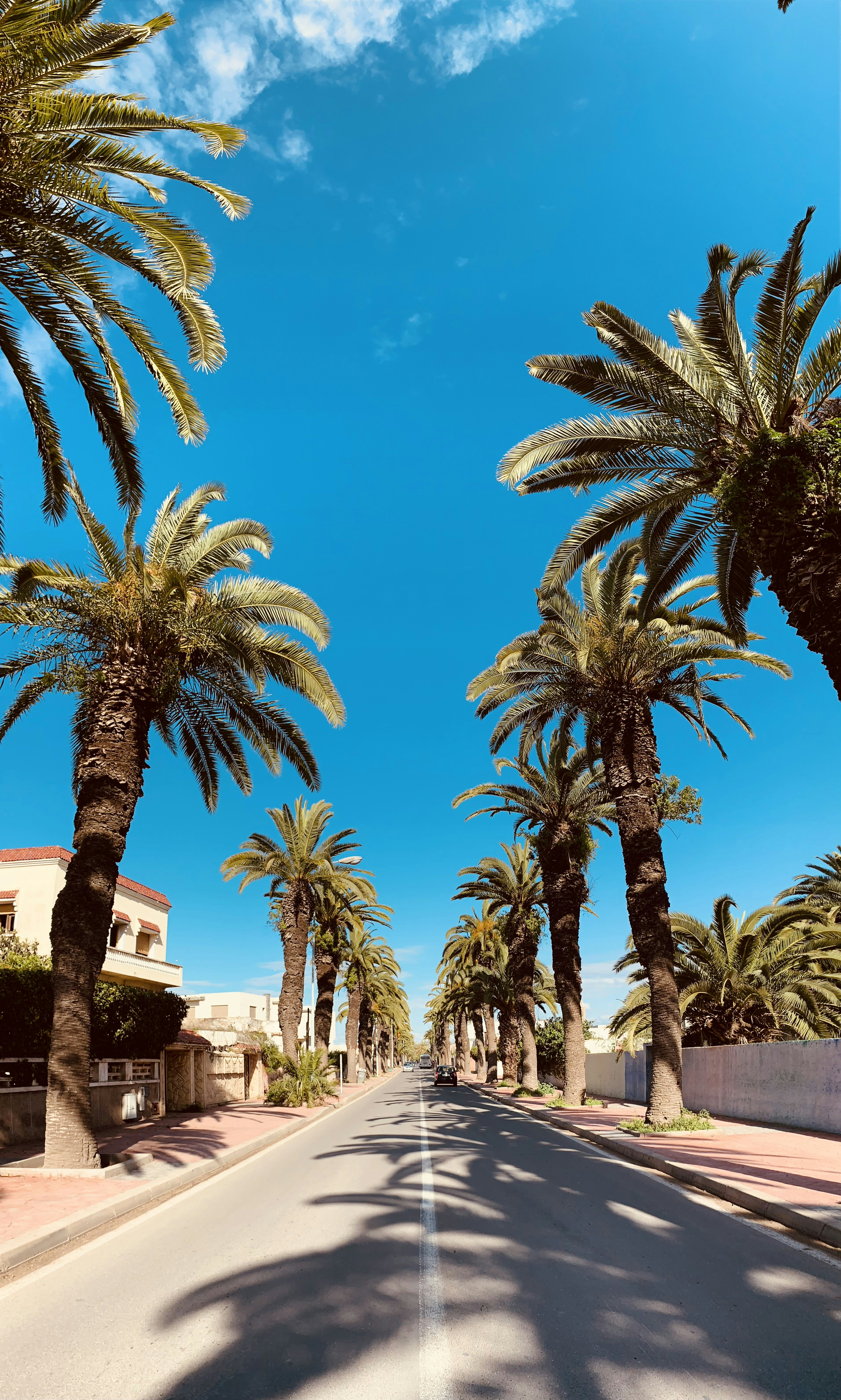 Photo by ouazizi_ayoub