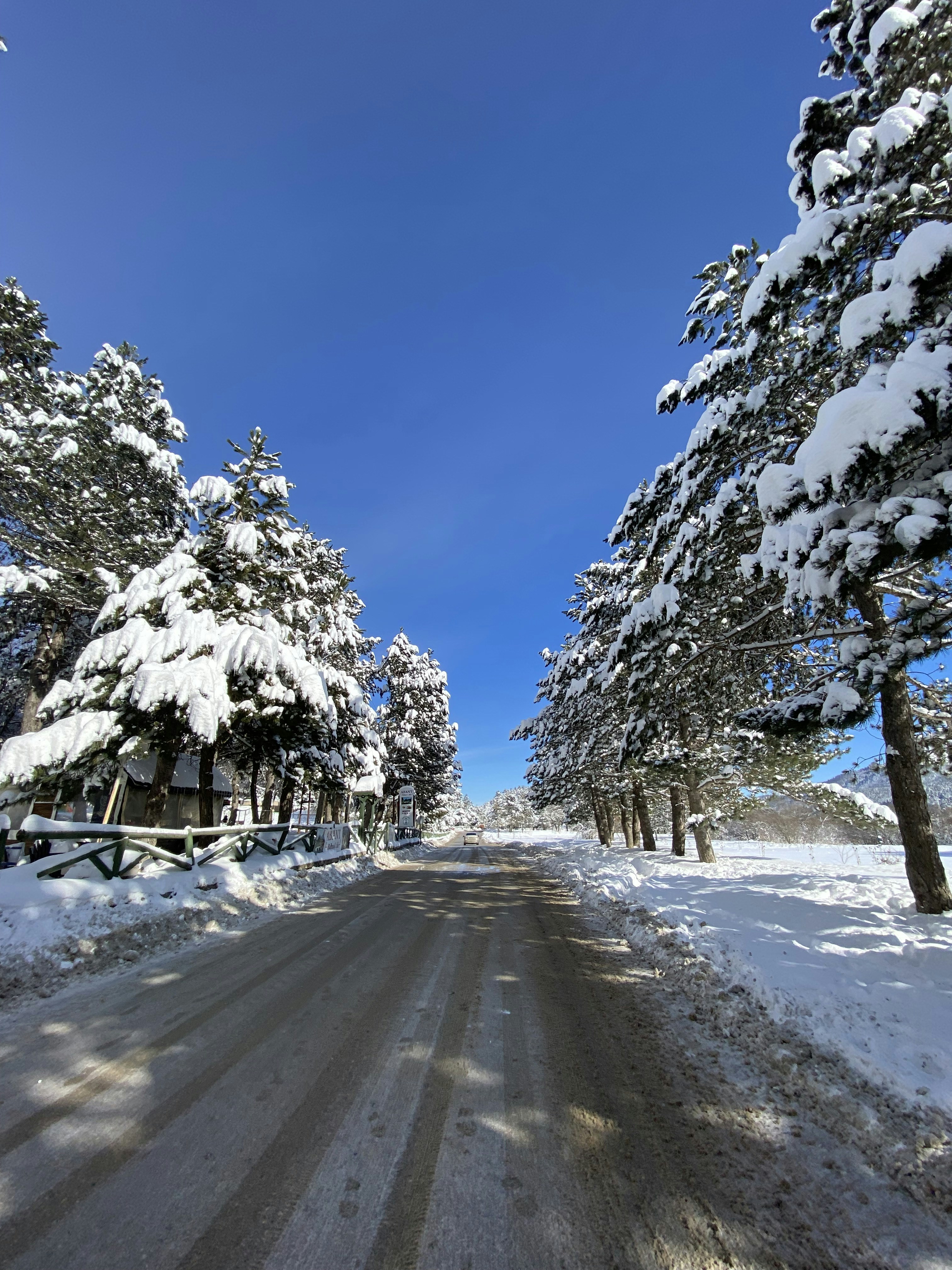 uma estrada com neve ao lado