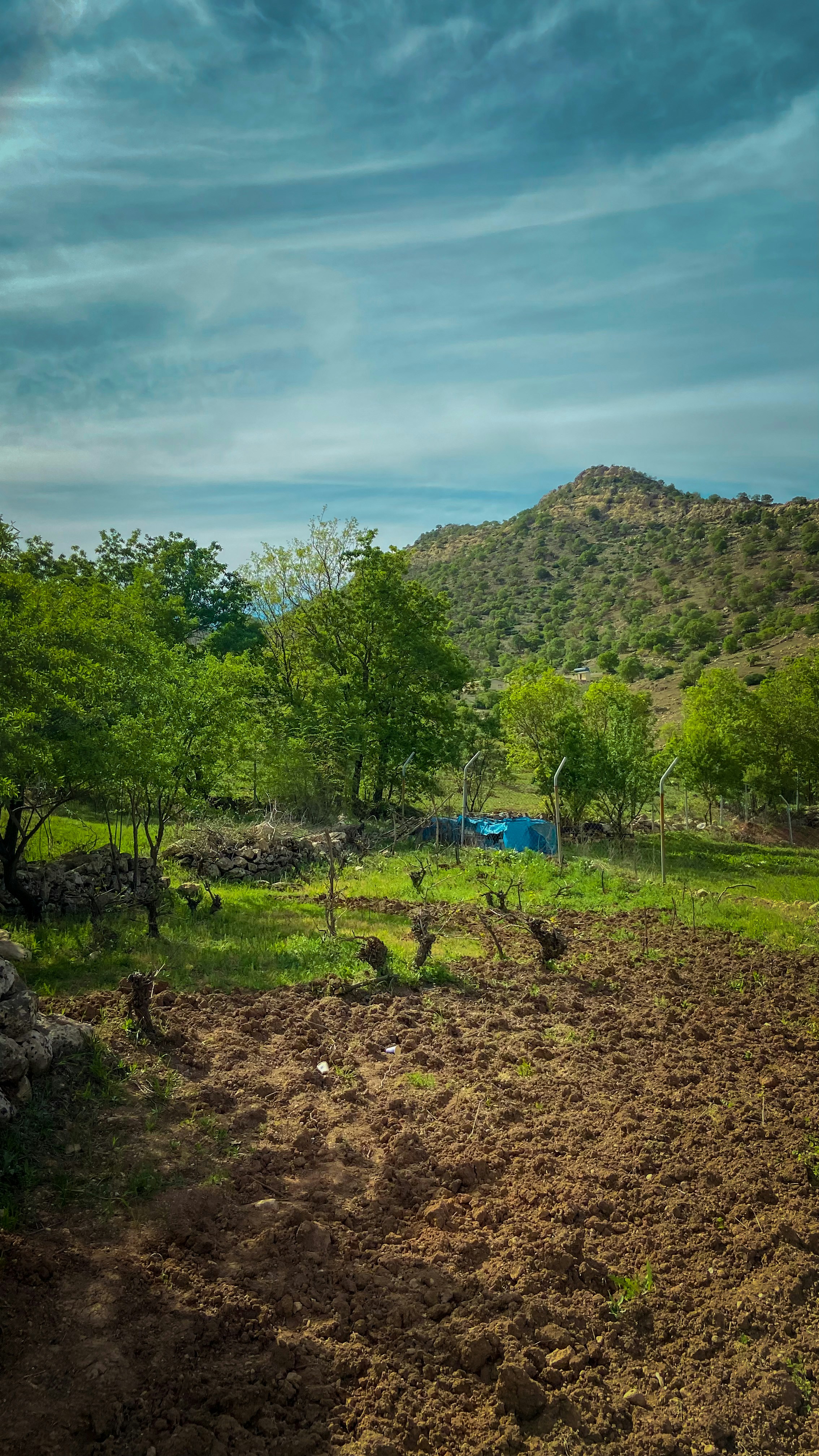 Photo by mohammedyousif