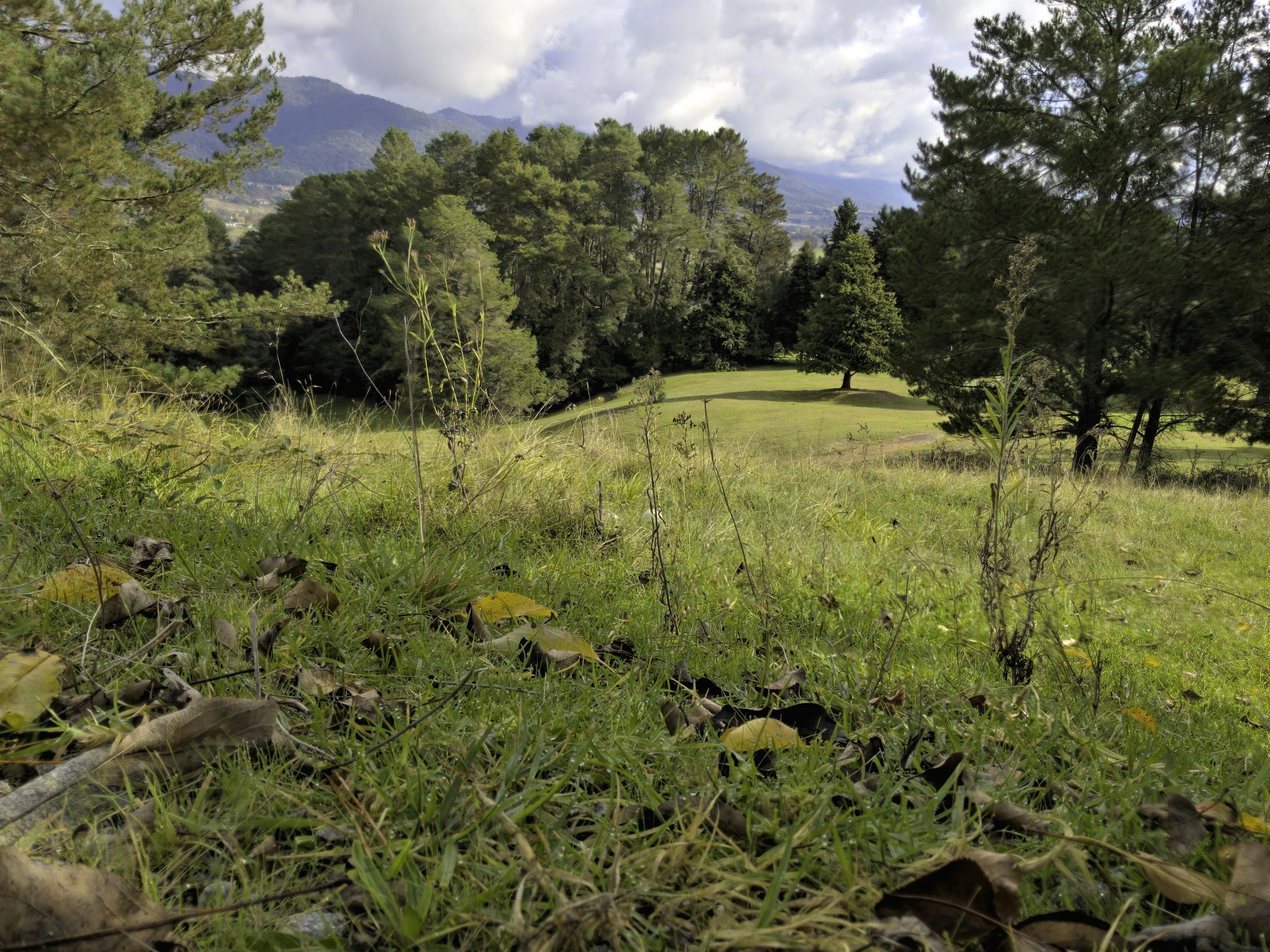 Photo by deraileddrips